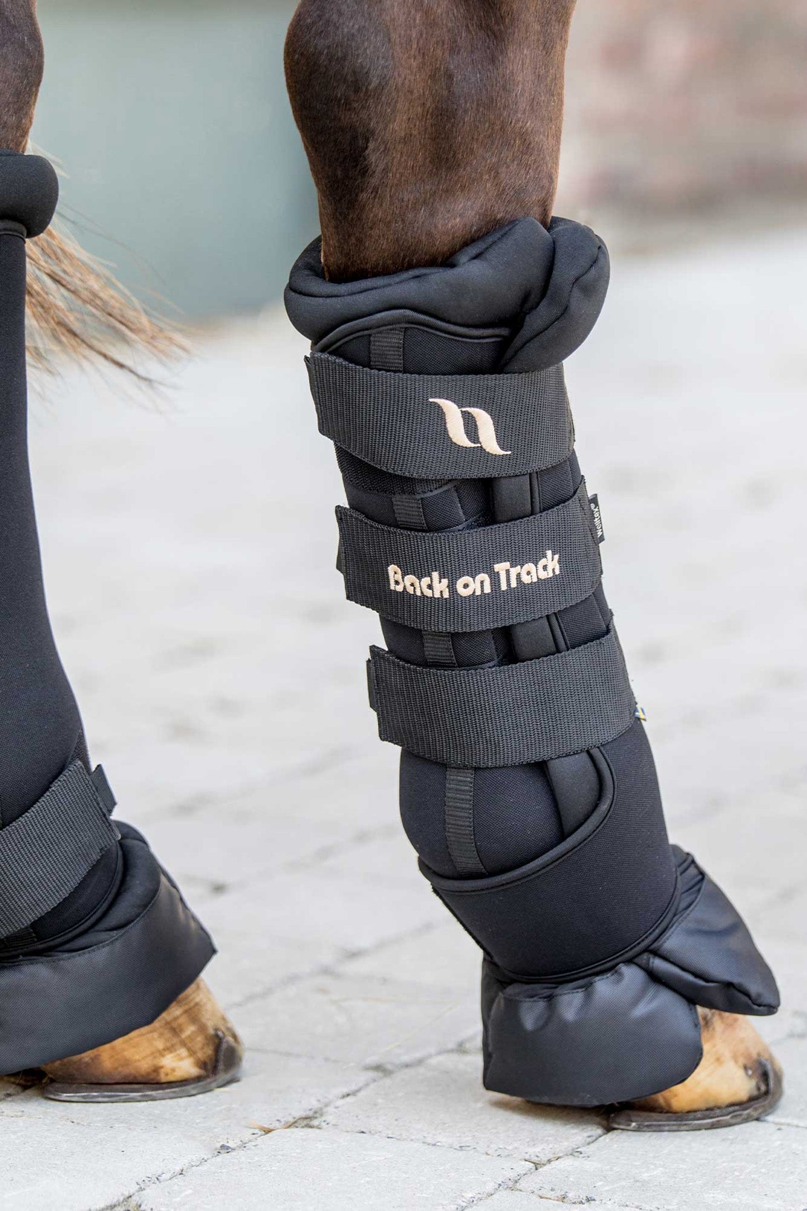 Back on Track Royal Quick Wraps Deluxe (2 stk.) Leg Protection & Hoof Protection for Horses