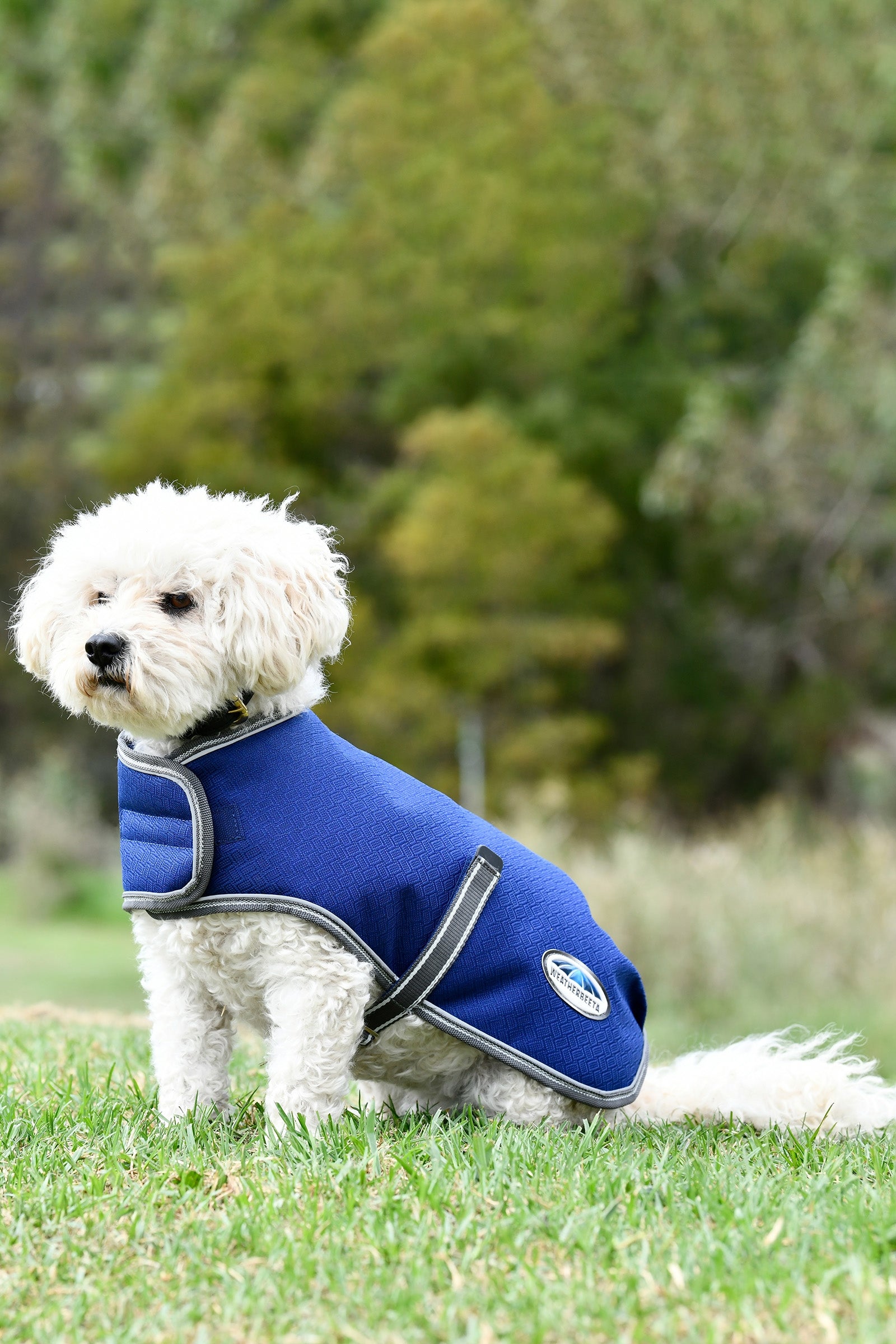 Weatherbeeta Comfitec Premier Free Parka Dog Coat Medium, 220g Hundeutstyr