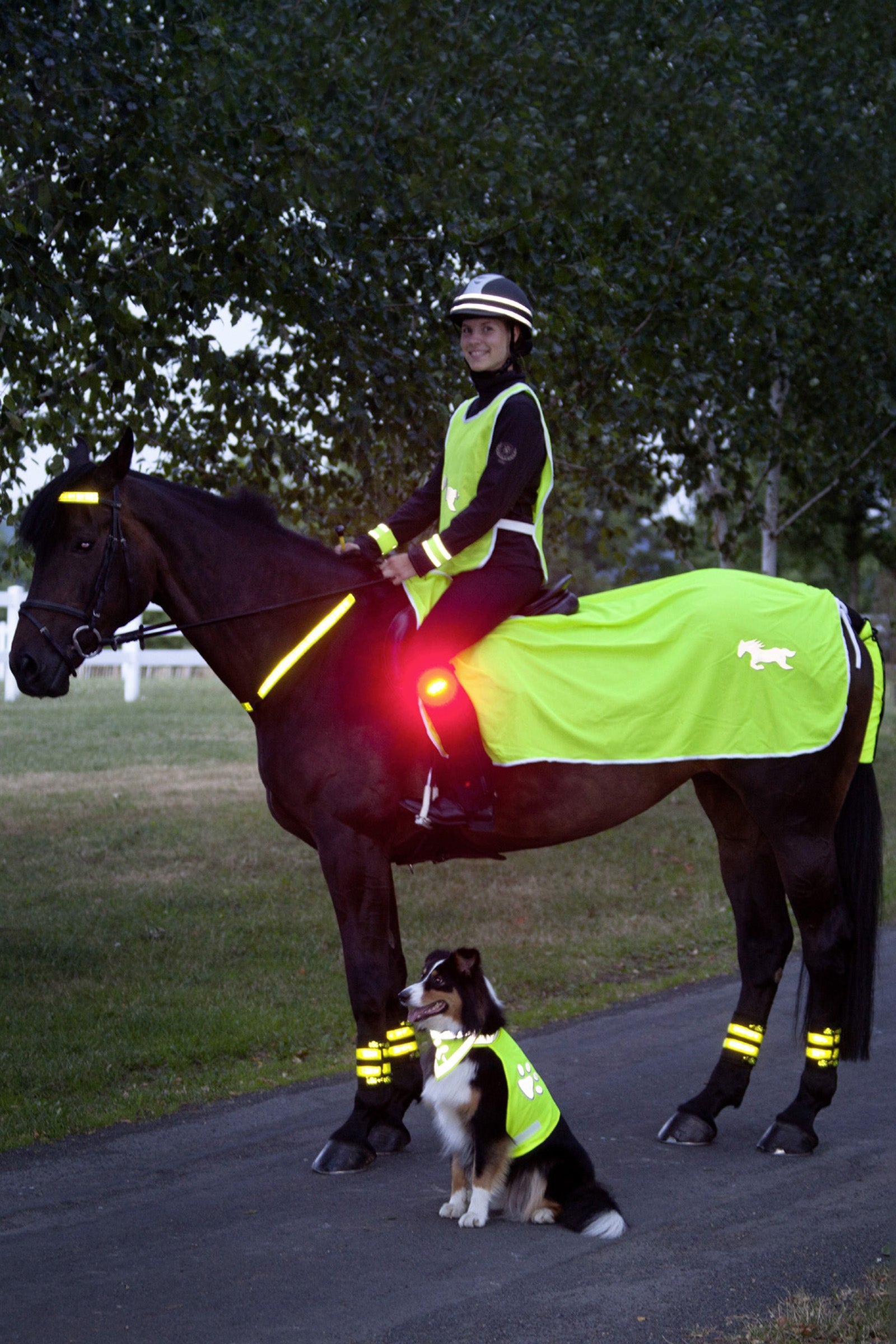 USG Reflective Rug Reflective