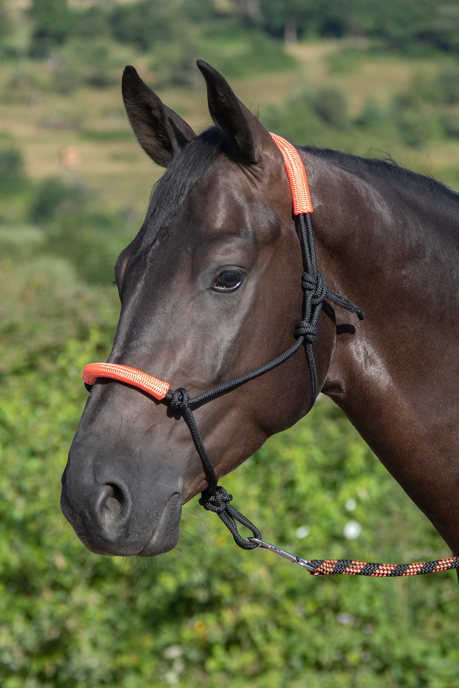USG Knotted Rope Halter with Matching Lead Rope Grimer og leietau