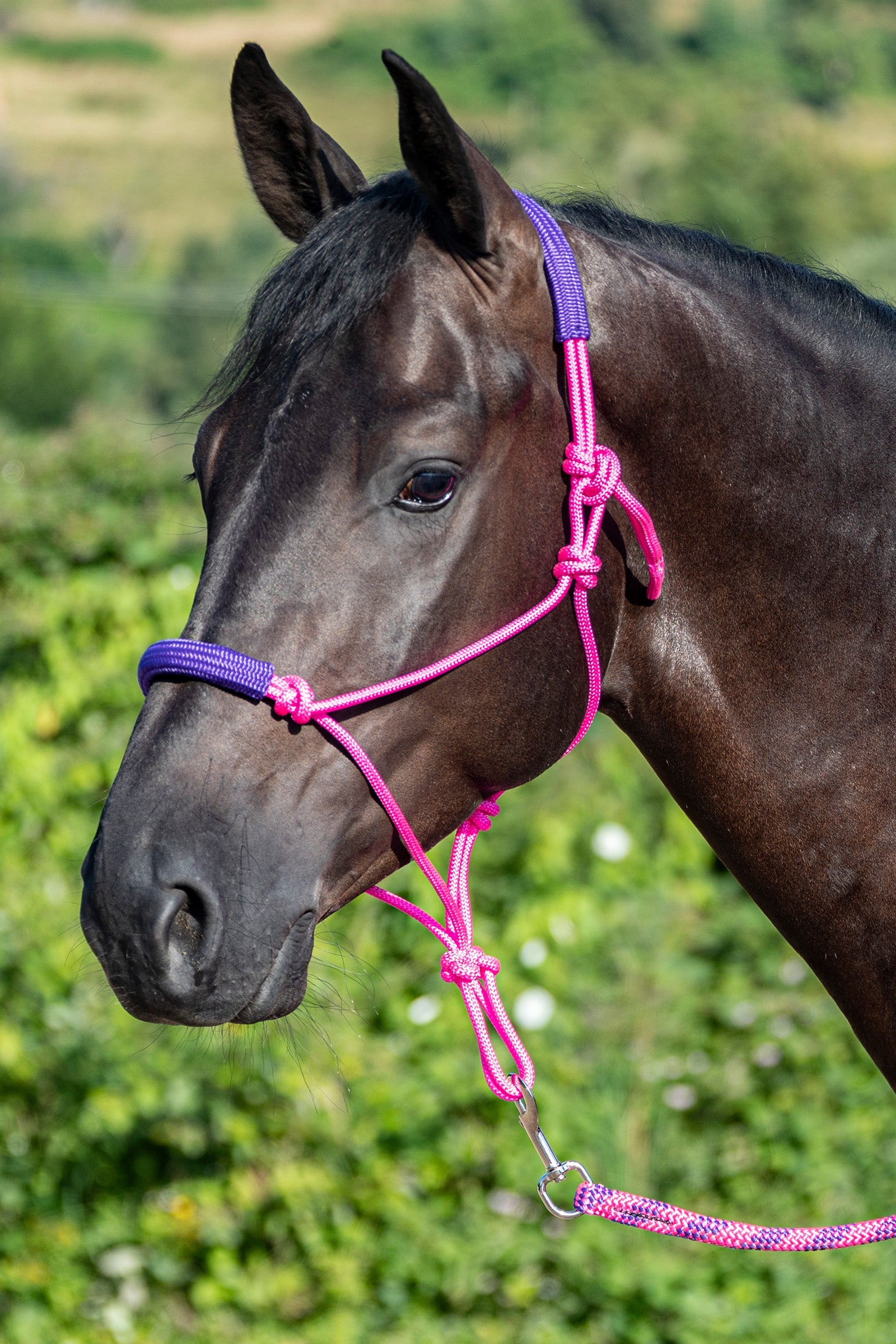 USG Knotted Rope Halter with Matching Lead Rope Grimer og leietau