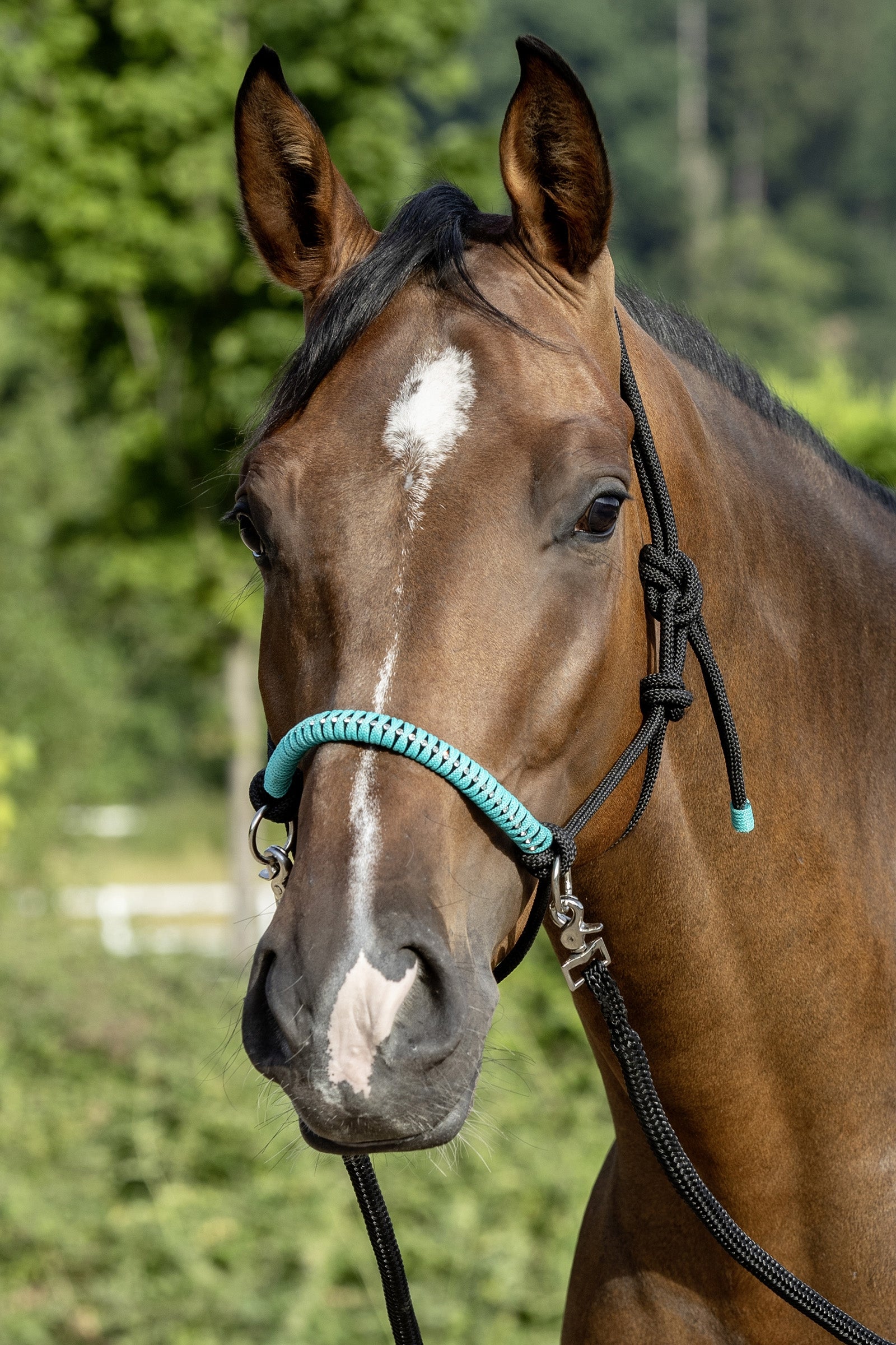 USG Knotted Rope Halter with Reins Halters & Leads