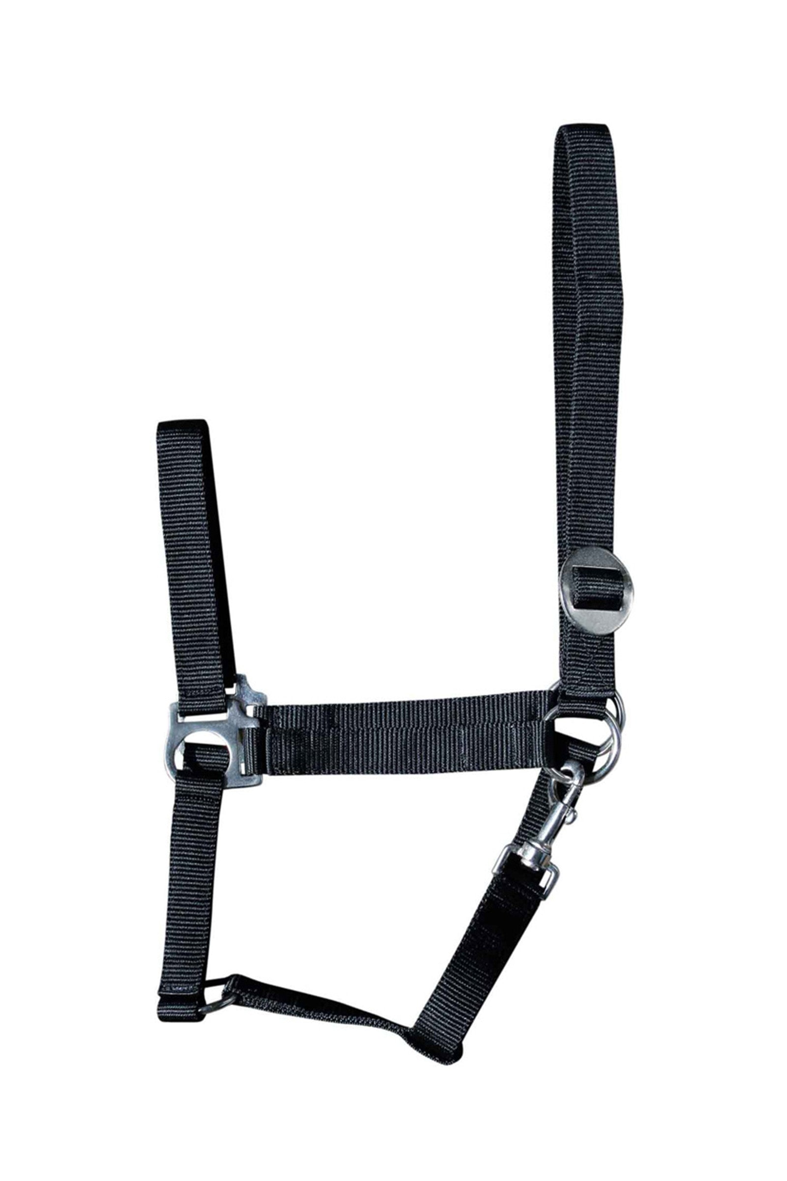 Harry's Horse Economy Headcollar Grimer og leietau