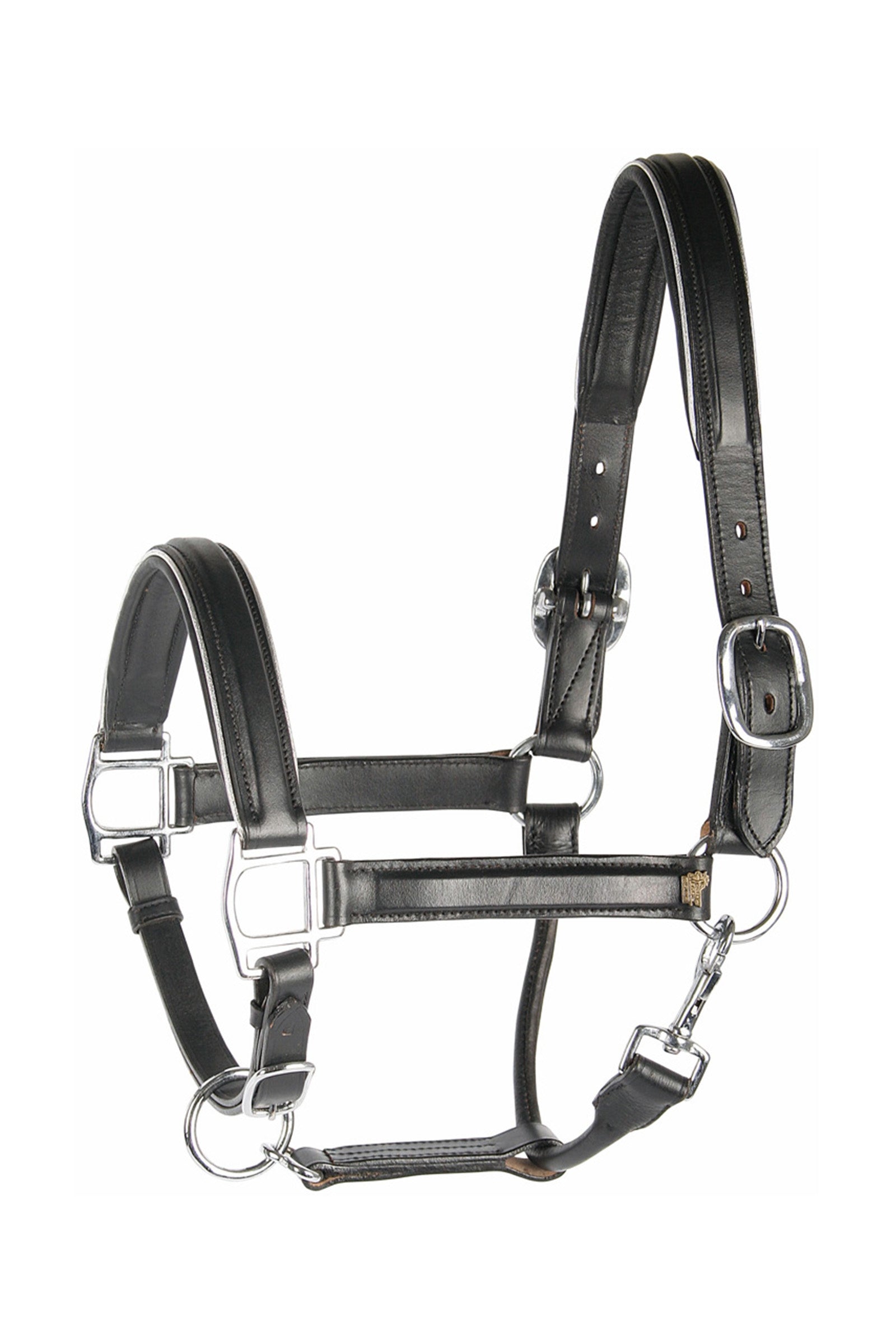 Harry's Horse Leather Headcollar with Piping Grimer og leietau