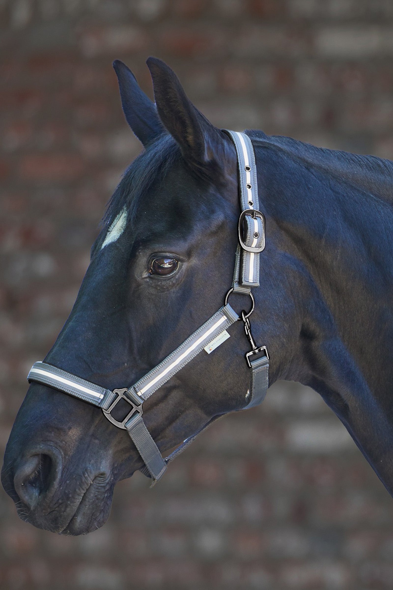 Waldhausen Reflex Stripe Halter Halters & Leads