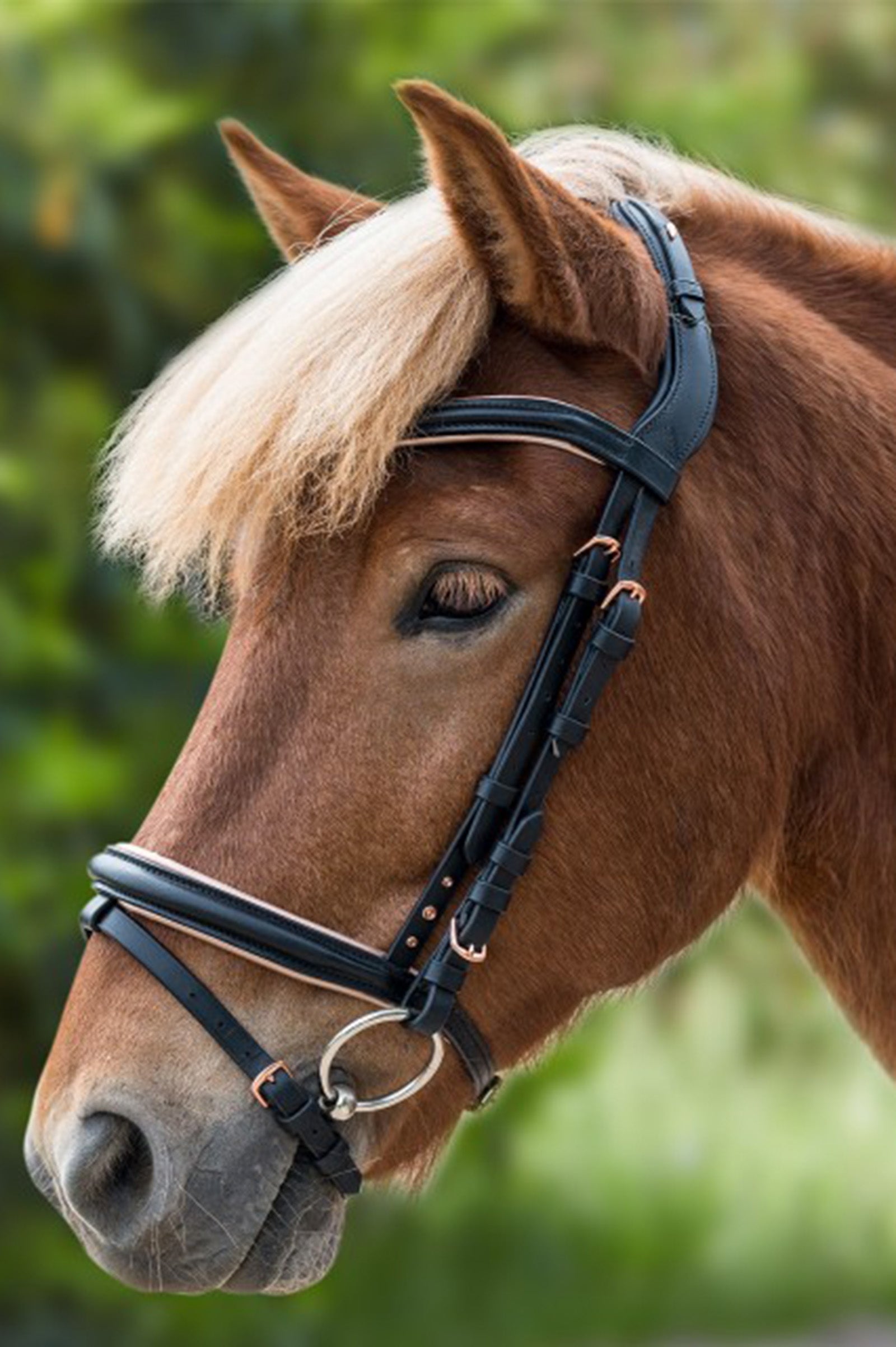Waldhausen Rose Icelandic Bridle Bridles & Reins