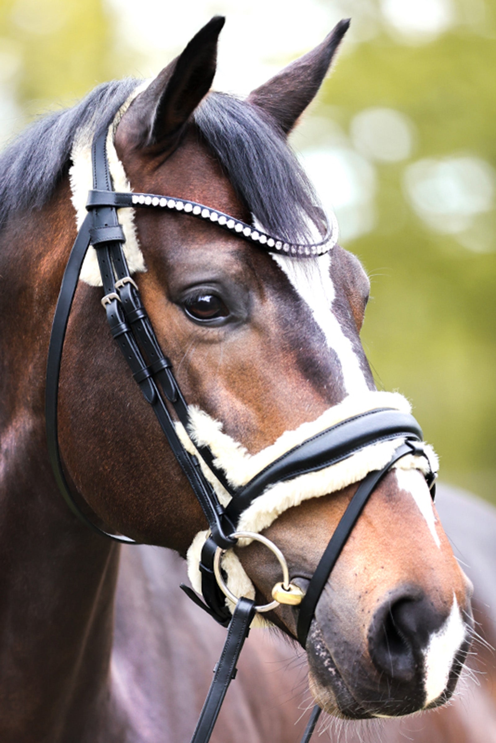 Kavalkade Joyce KavalSH4 Bridle Bridles & Reins