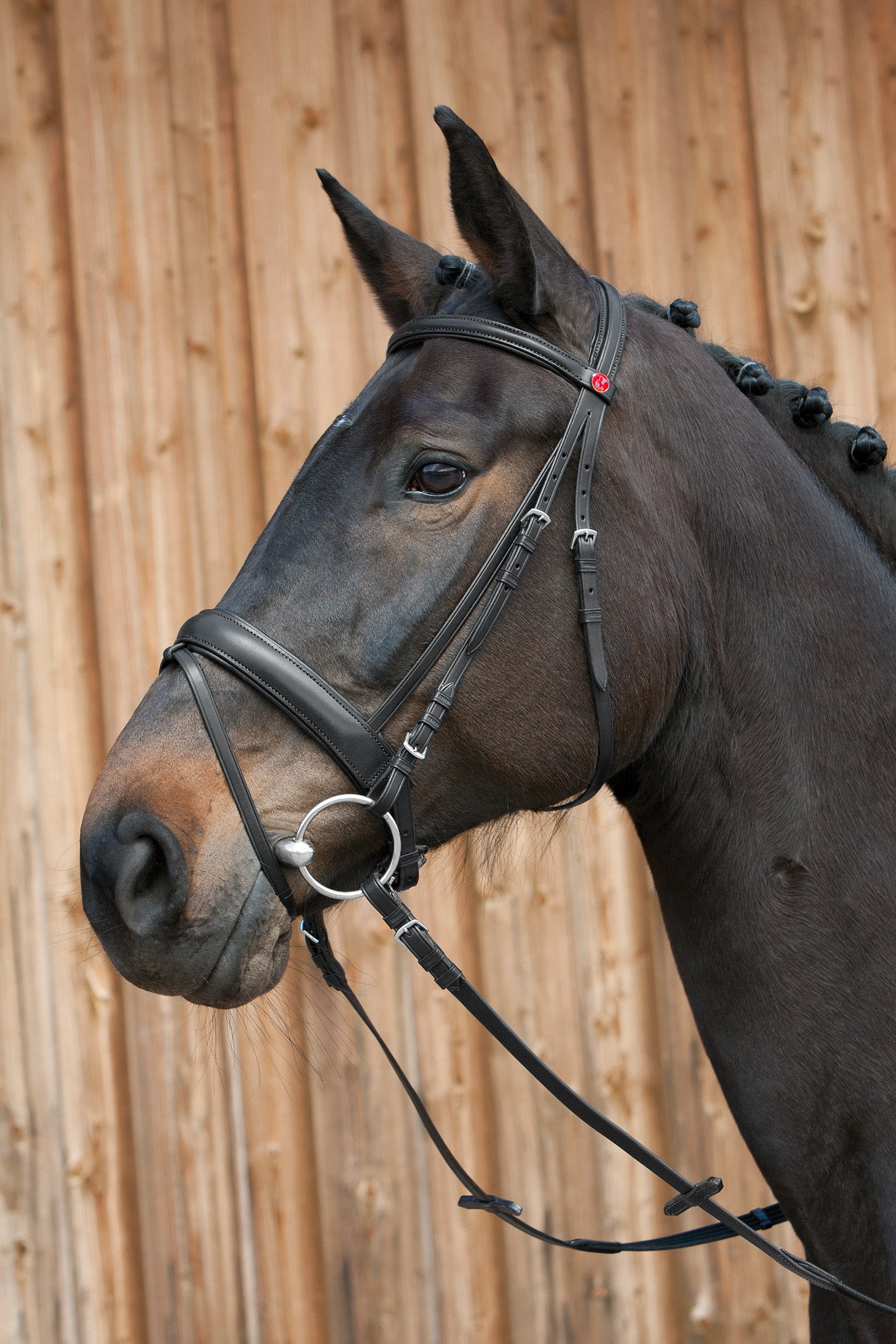 Kieffer Ergonomic Line III Bridle Bridles & Reins