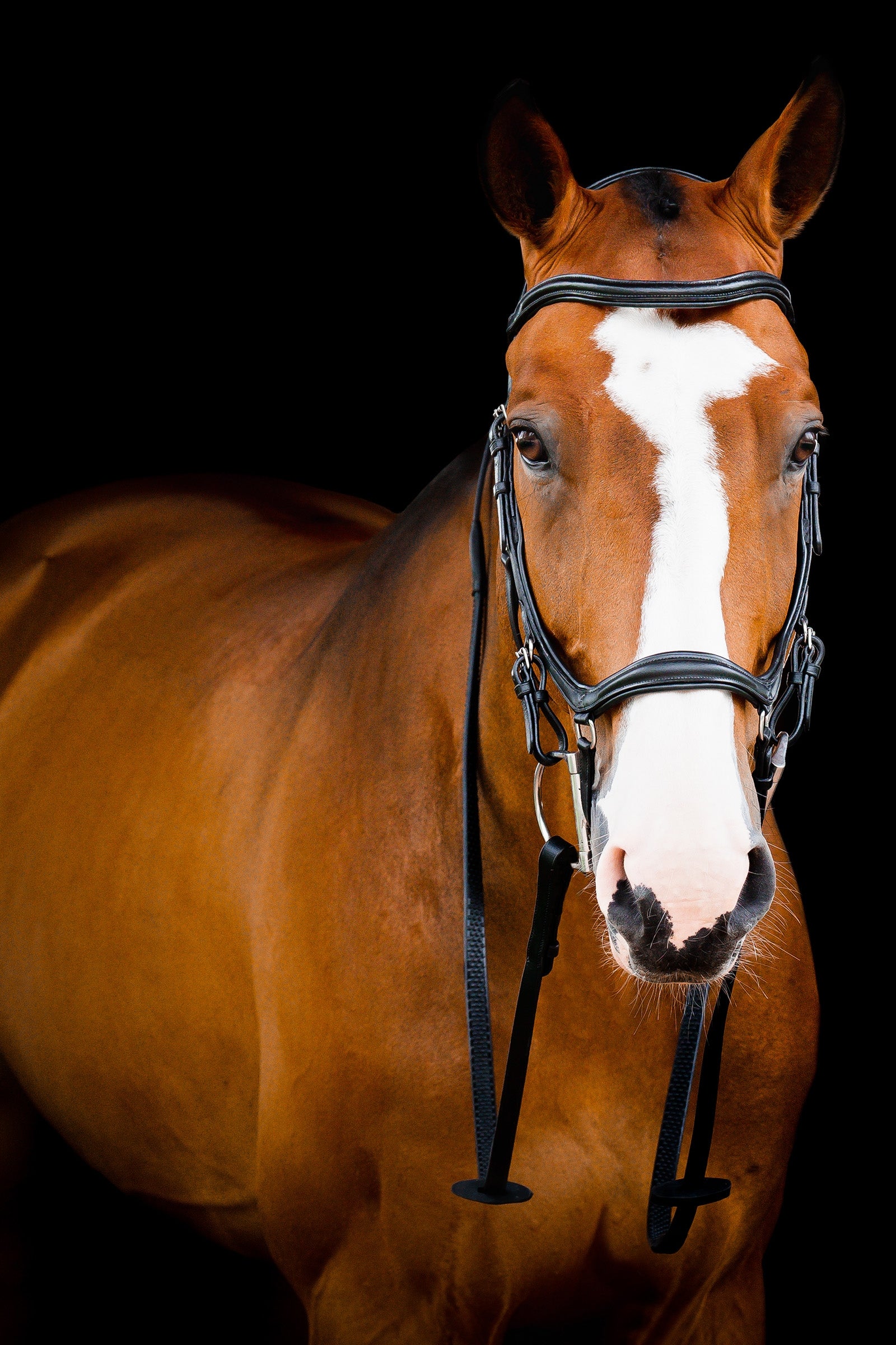 Horseware Micklem 2 Deluxe Competition Hodelag Hodelag & Tøyler