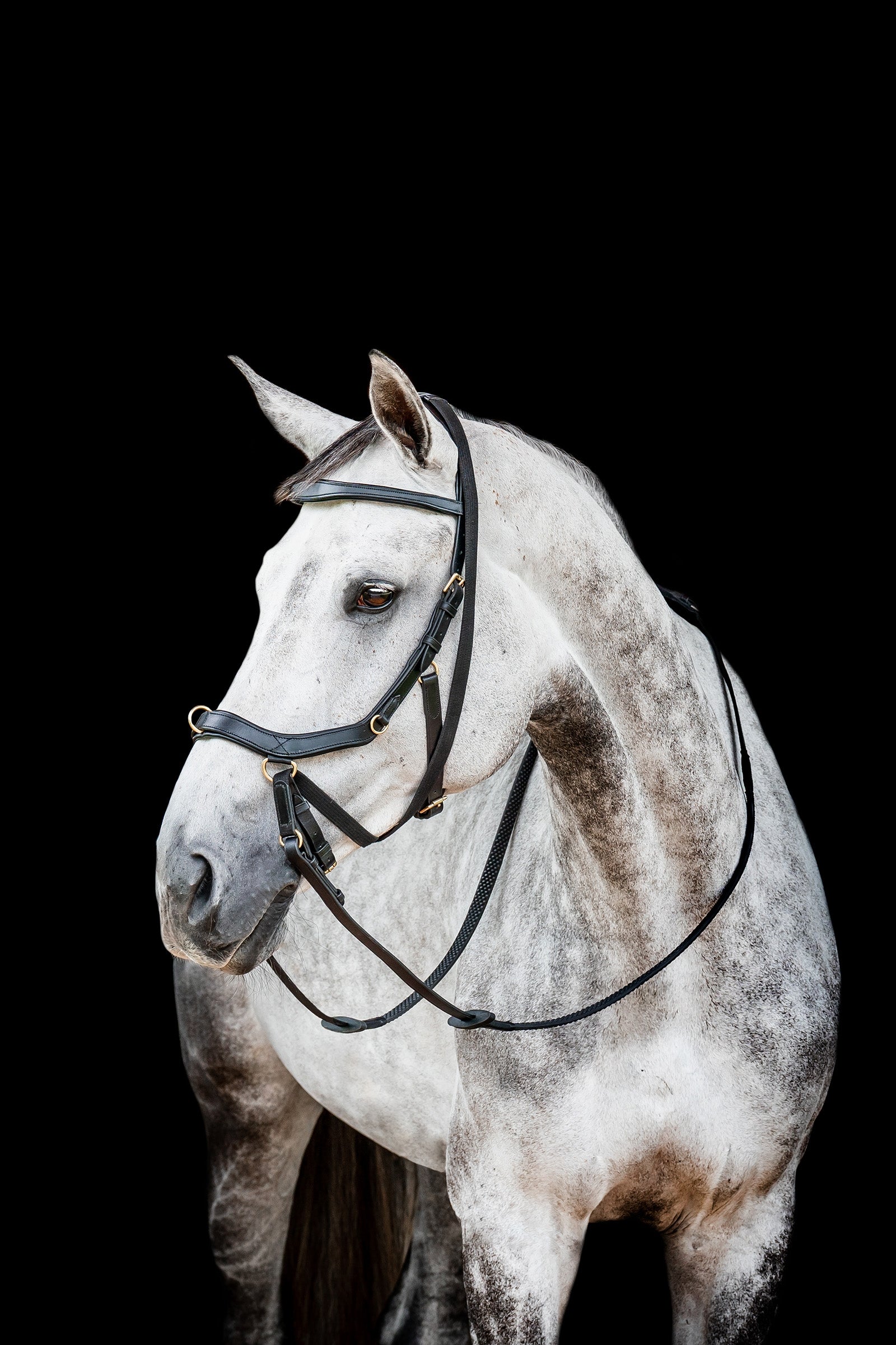 Horseware Micklem 2 Multi Hodelag Hodelag & Tøyler