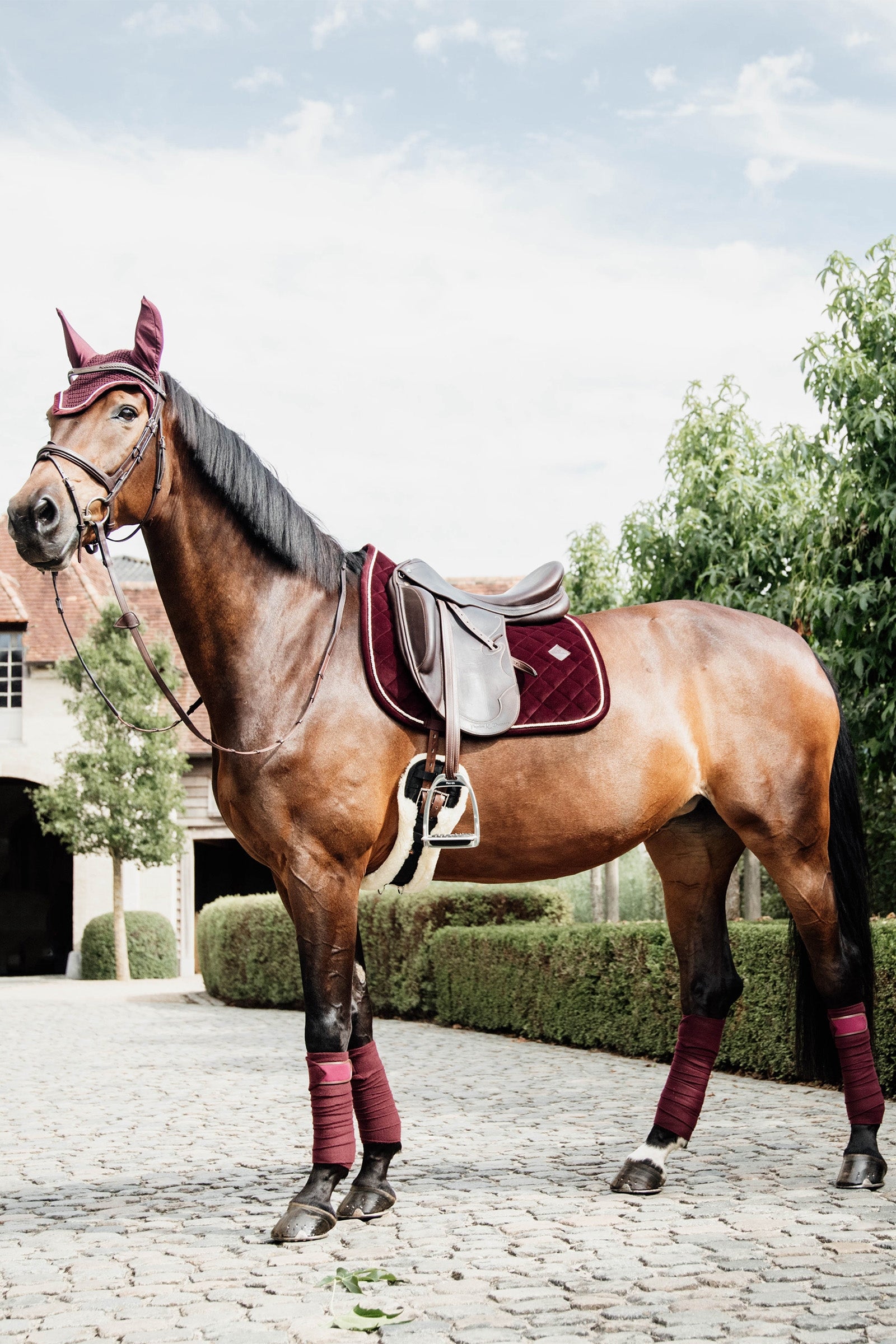 Kentucky Horsewear Polar Fleece Polos Leg Protection & Hoof Protection for Horses