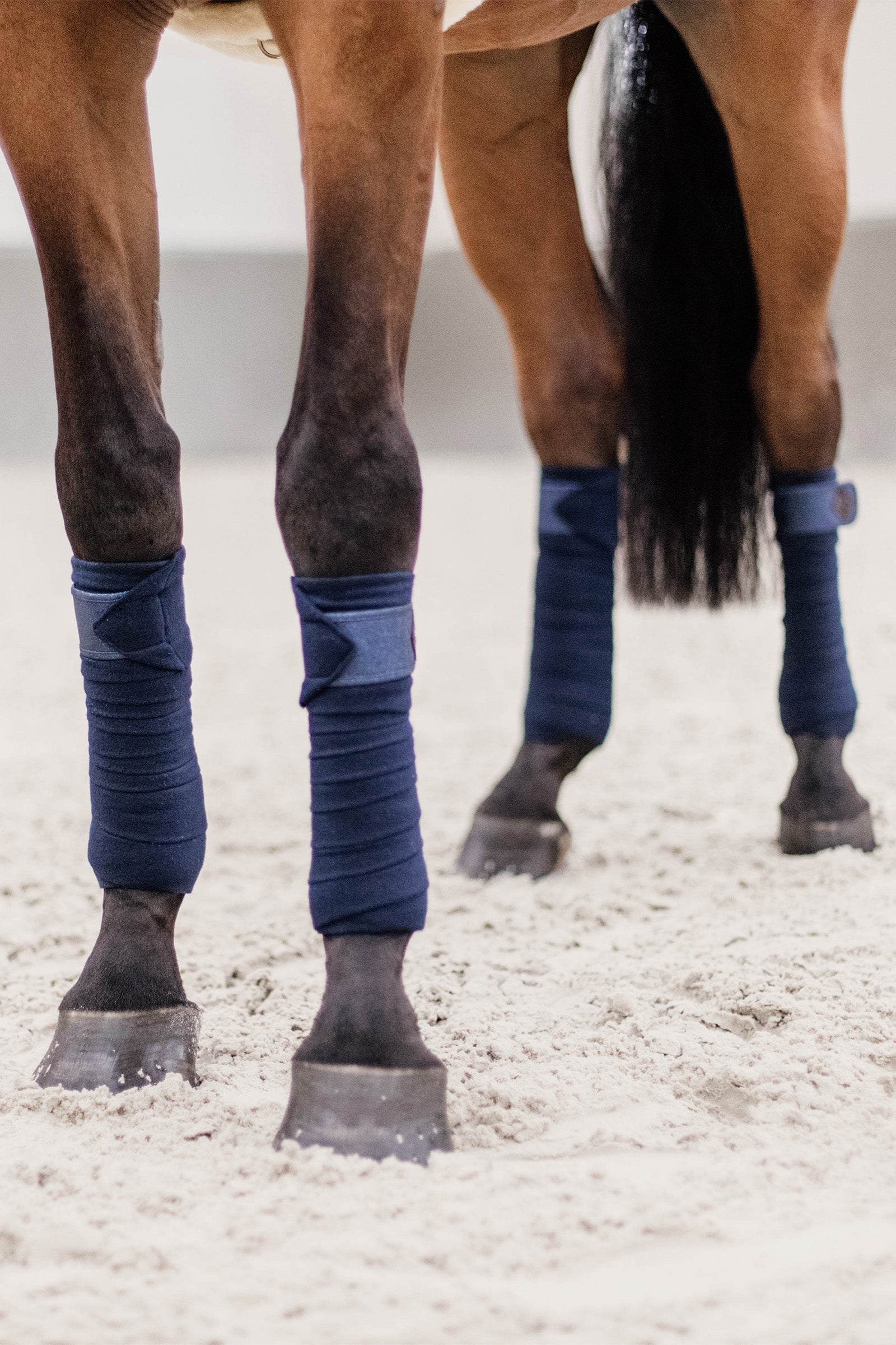 Kentucky Horsewear Glitter Polar Fleece Polos Leg Protection & Hoof Protection for Horses