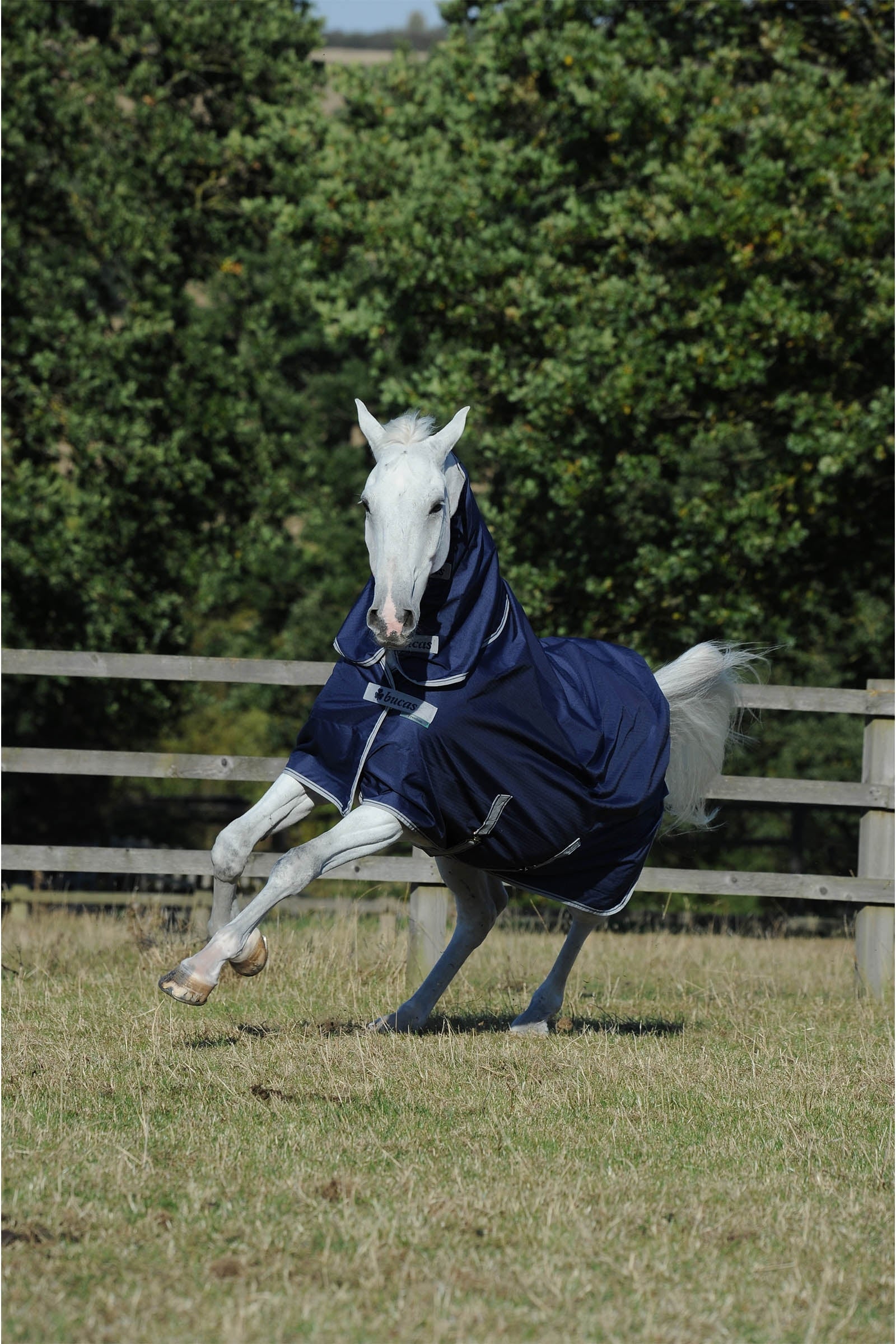 Bucas Freedom + Neck 100 g Rug Set Horse Rugs