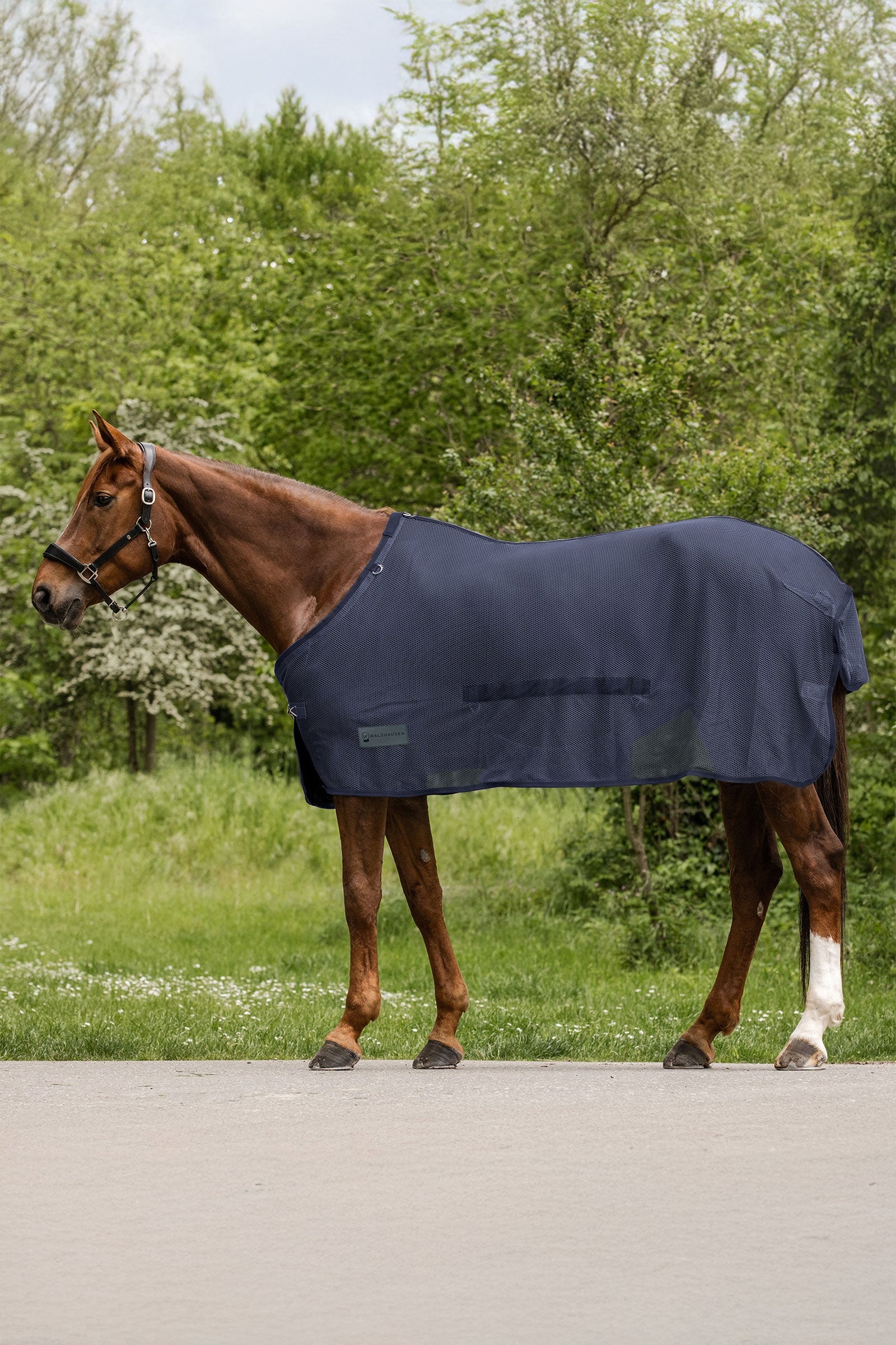 Waldhausen Comfort fluedekken med mageklaff Dekken