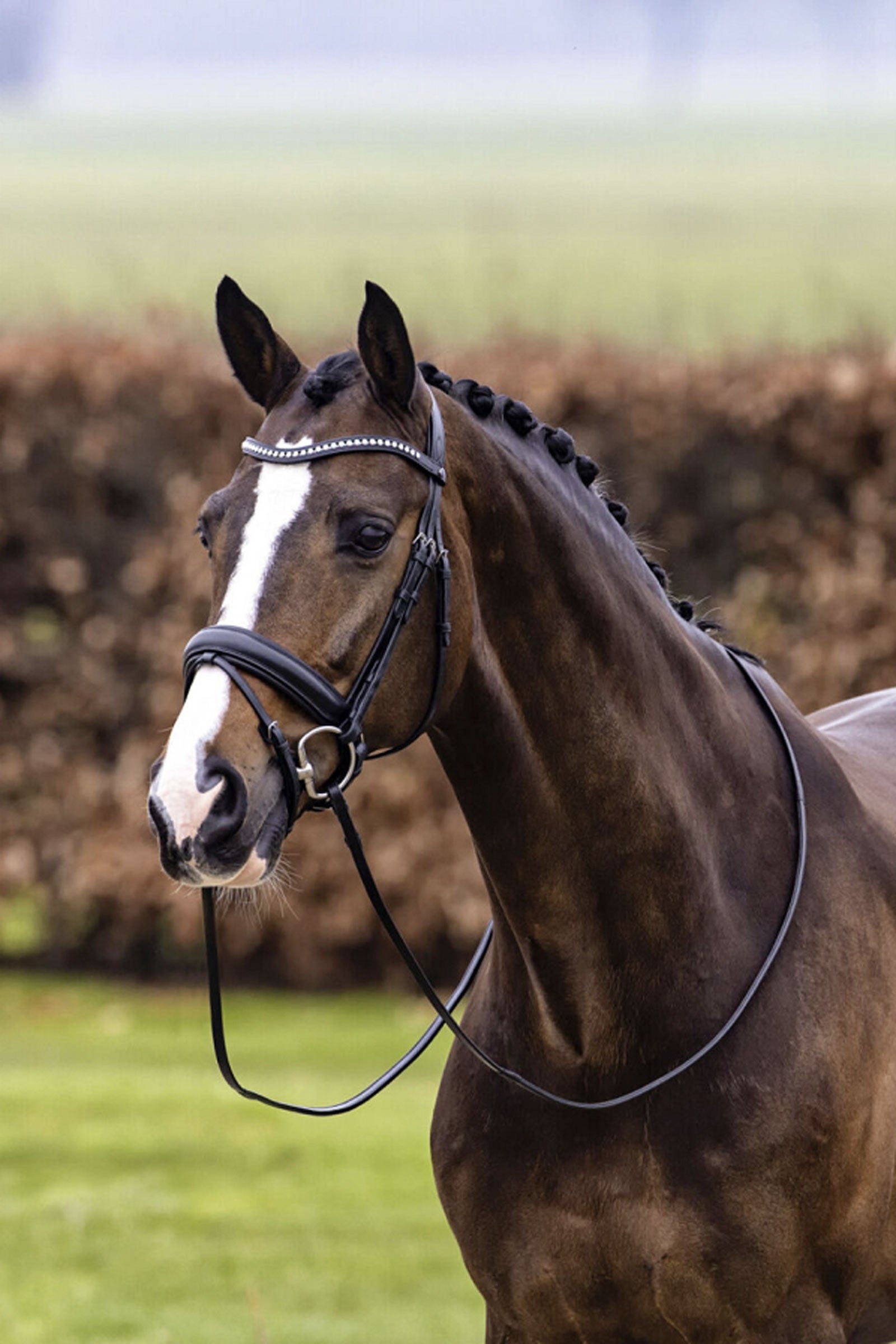 Trust Equestrian Verden Large Crank Noseband Bridle Bridles & Reins
