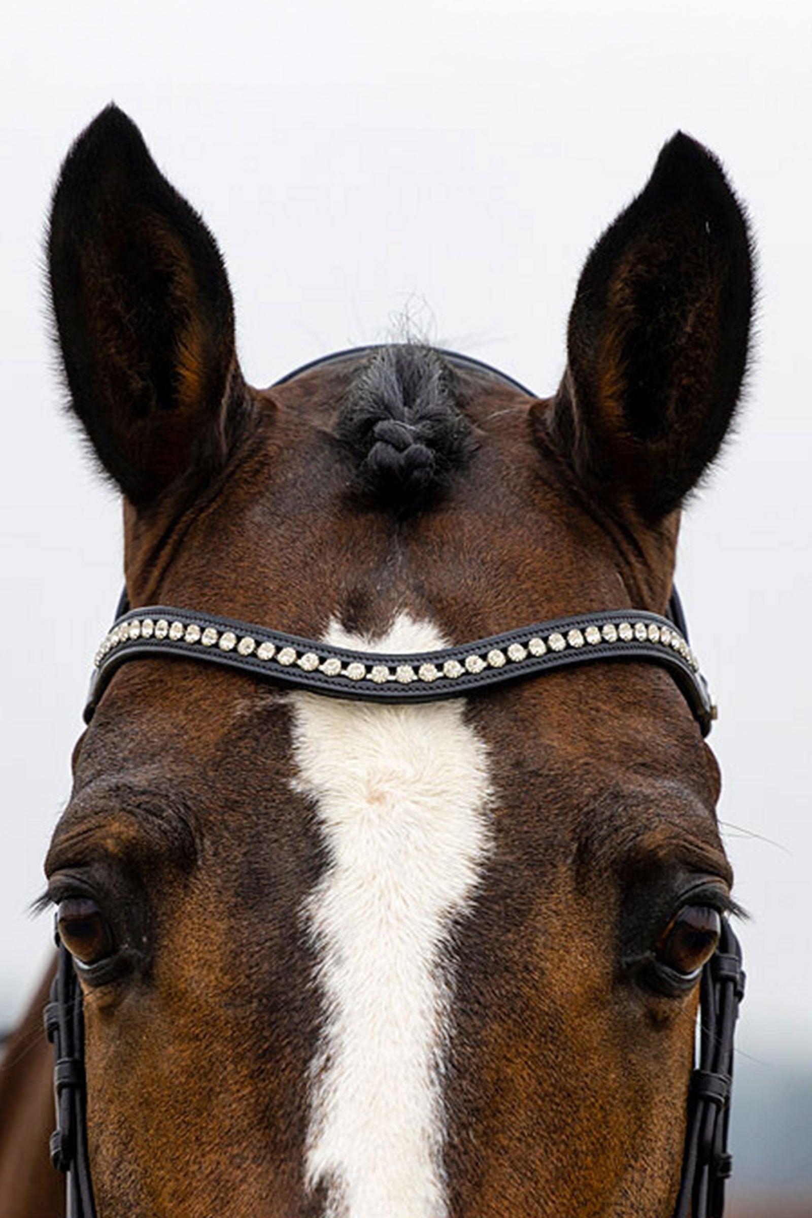 Trust Equestrian Verden Large Crank Noseband Bridle Bridles & Reins