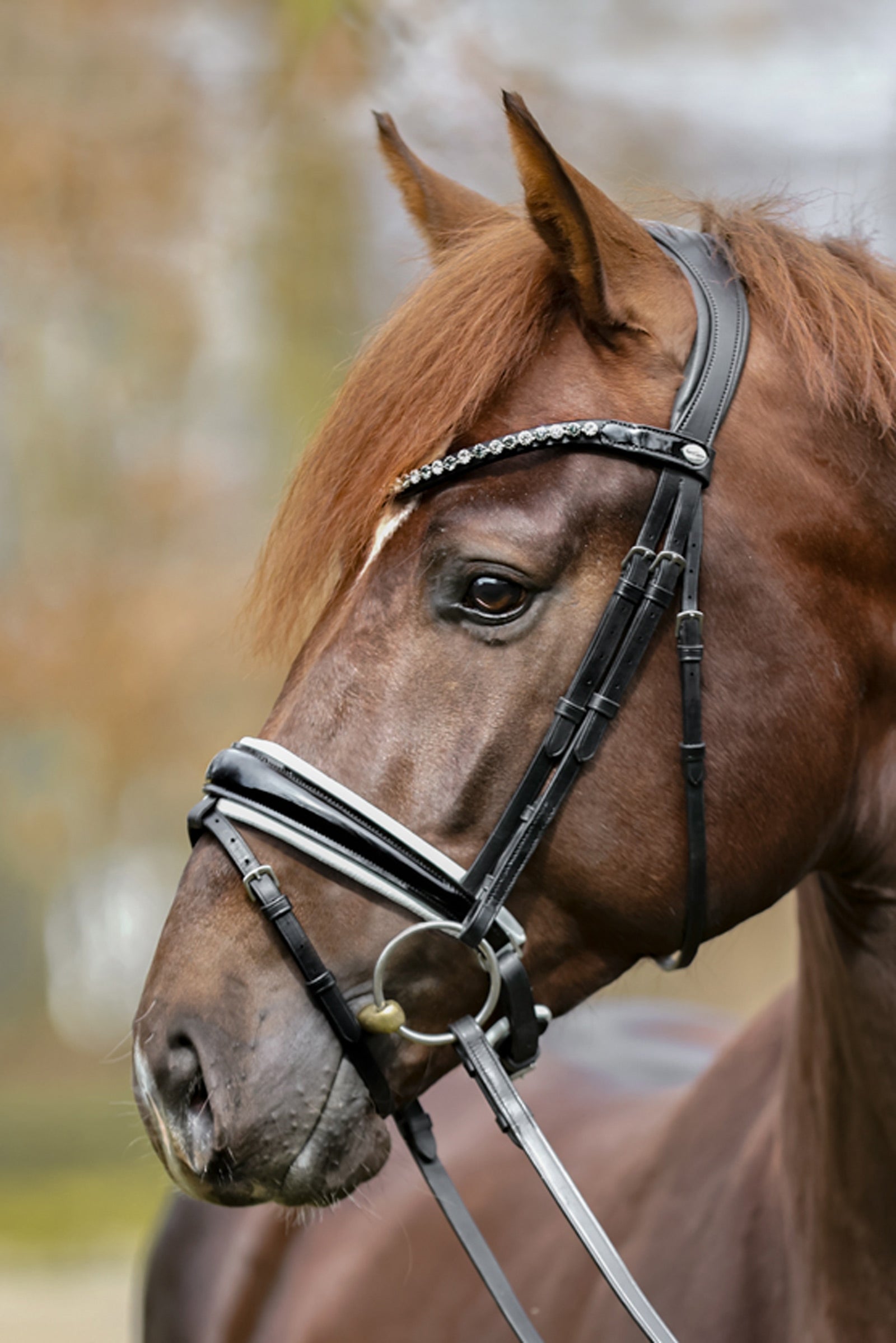Kavalkade Liliana Crank Bridle With Flash Bridles & Reins