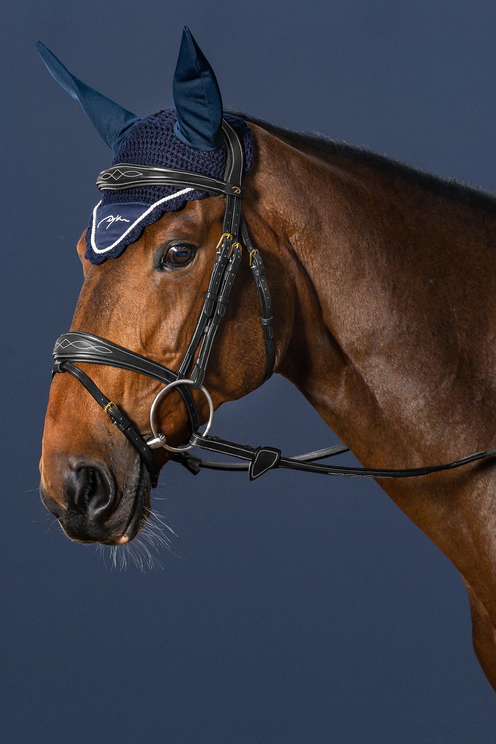 Dy'on D Collection Anatomical Bridle With Flash Noseband  Bridles & Reins