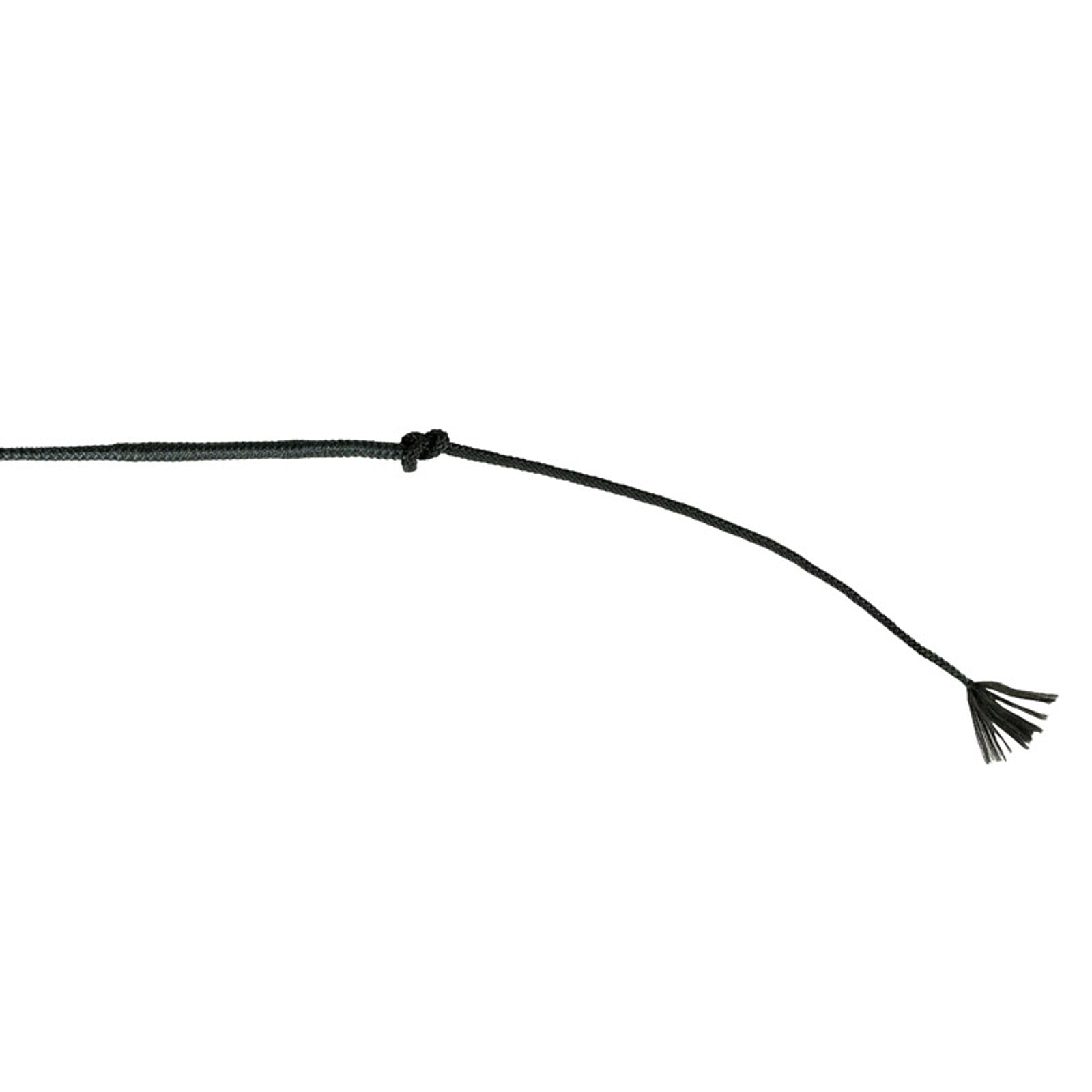 Finntack Pro 60" kjørepisk, travtrening (155 + 17 cm) Pisker