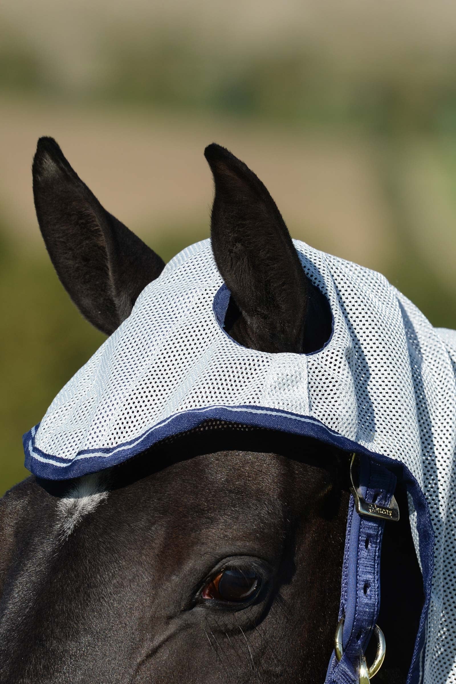 Bucas Buzz-Off X Big Neck Fly Rug With Fixed Neck Horse Rugs