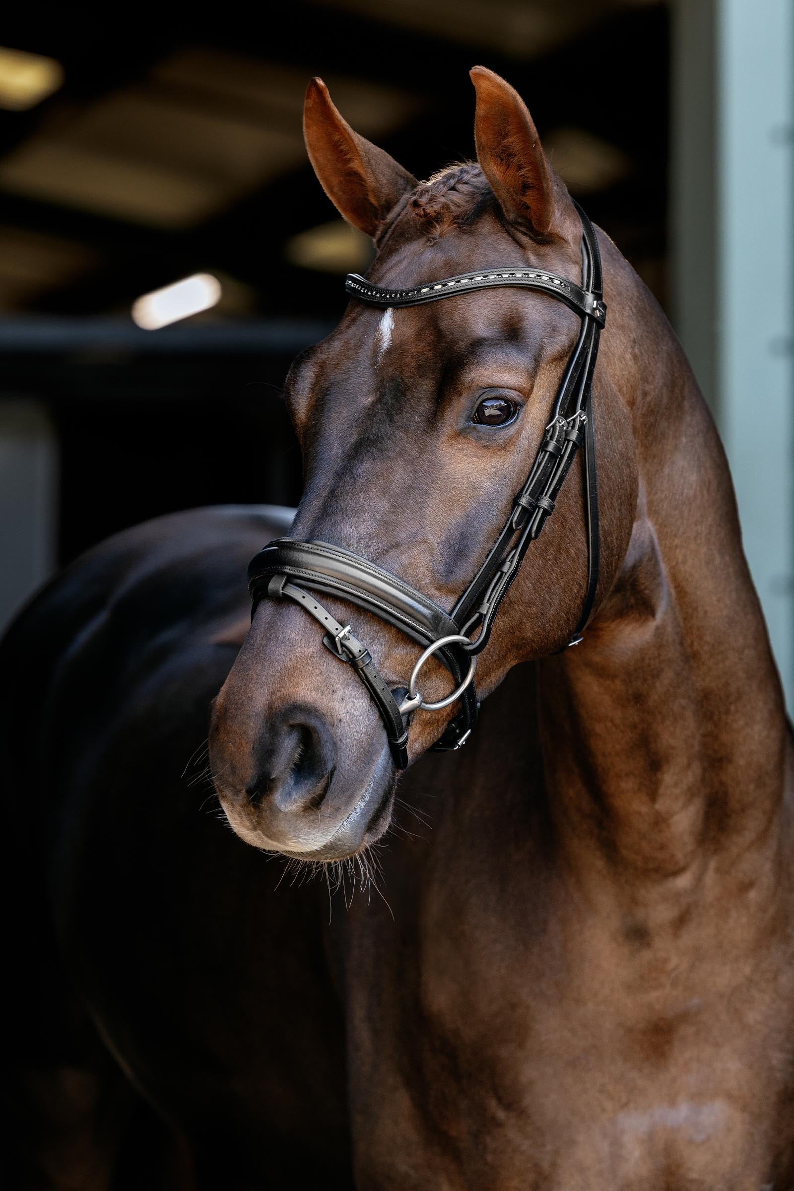 LeMieux Arika Dressage Bridle Bridles & Reins