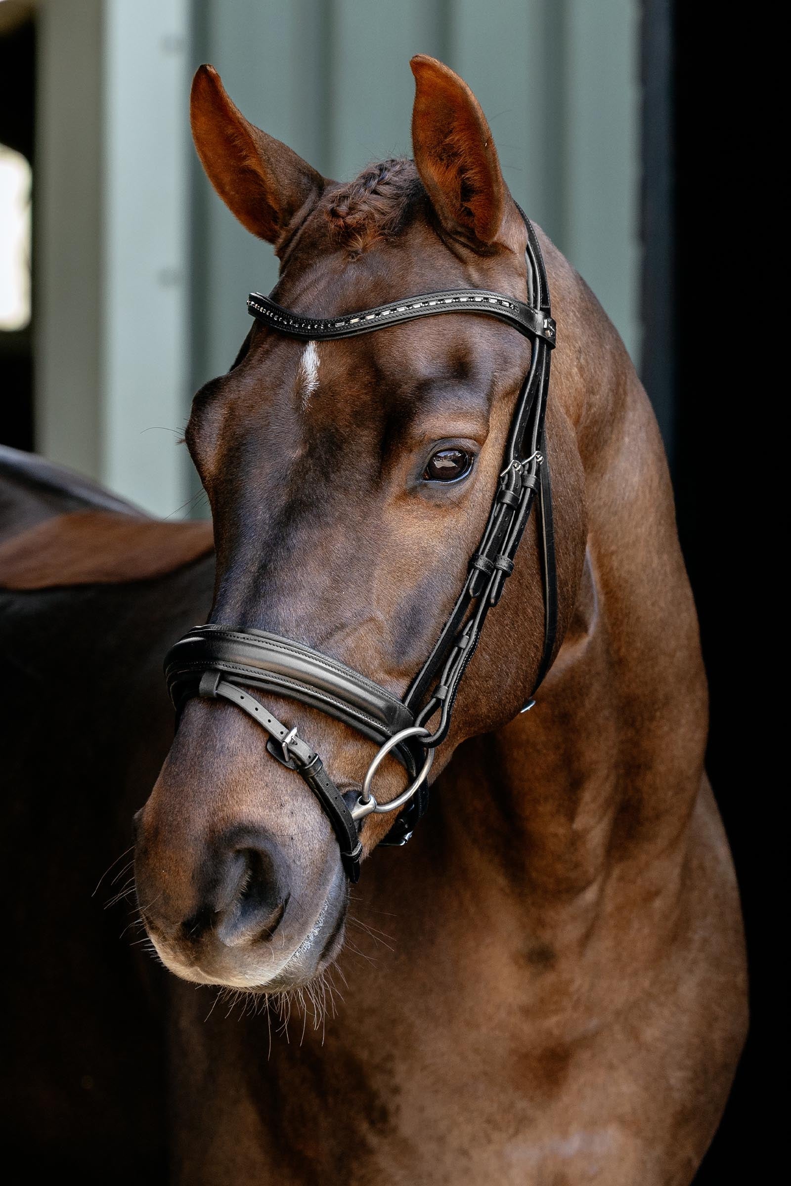 LeMieux Arika Dressage Bridle Bridles & Reins