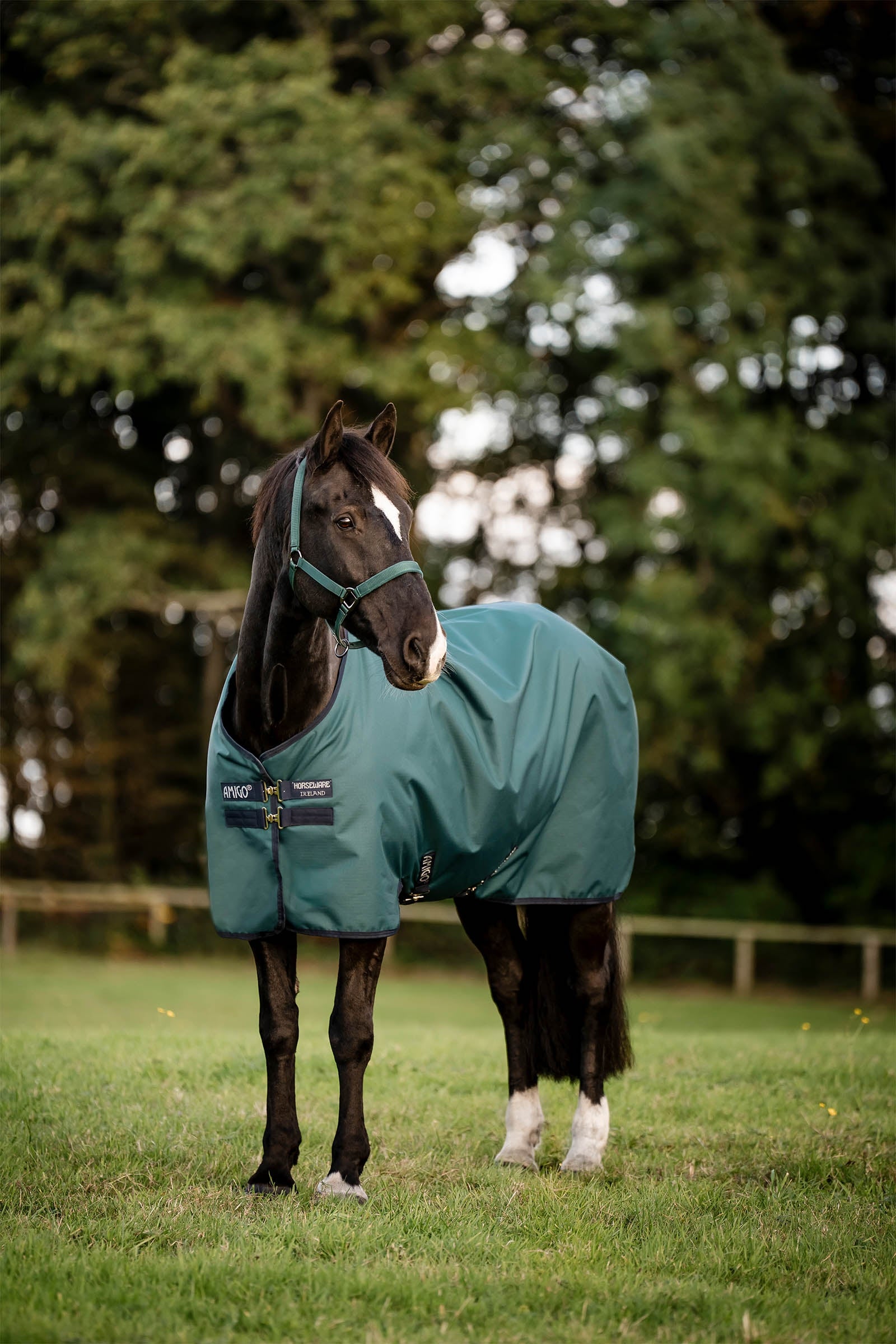Horseware Amigo 900D Ripstop utedekken, 100 g Dekken