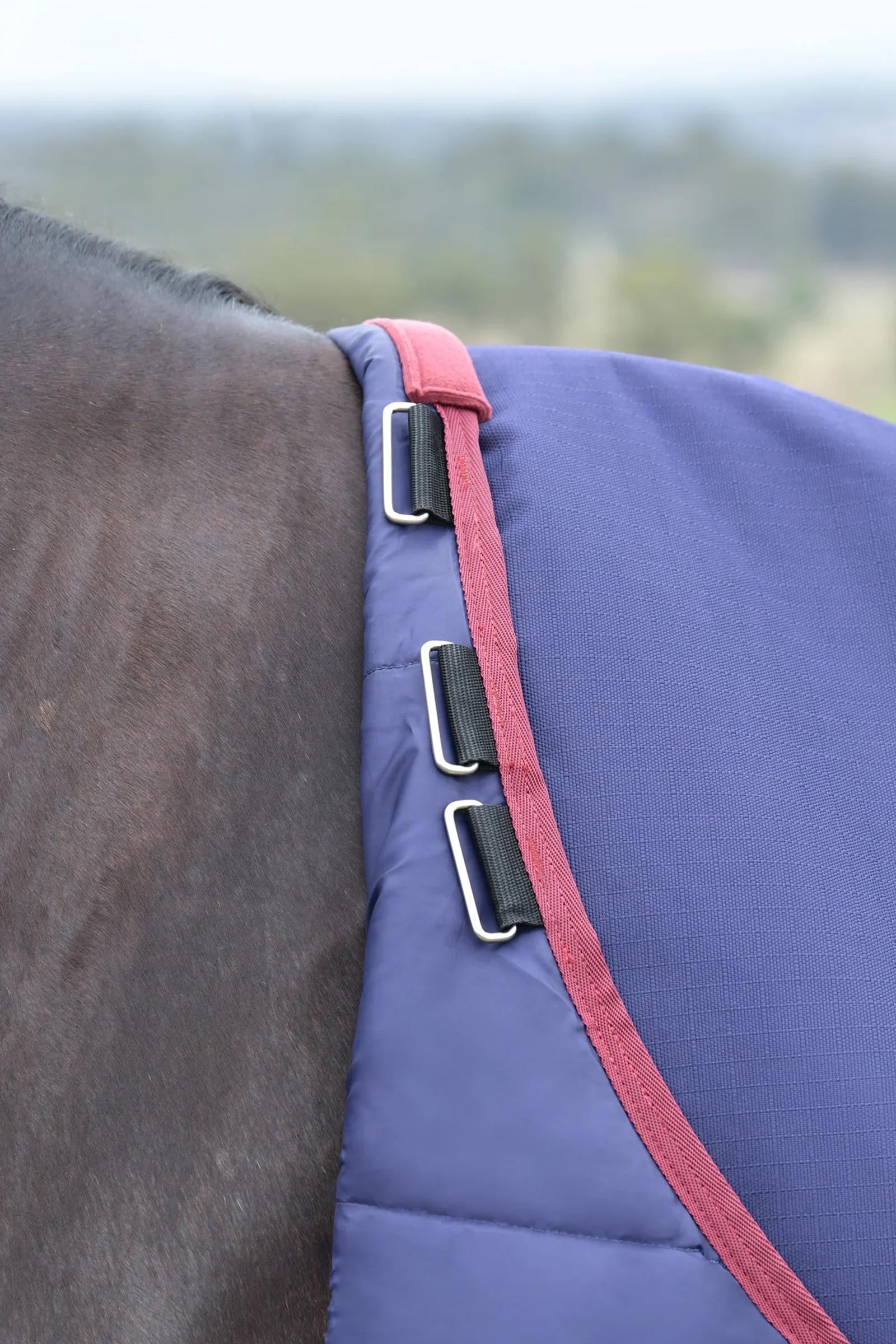 Weatherbeeta ComFiTec Essential Turnout Rug, 0 g Horse Rugs