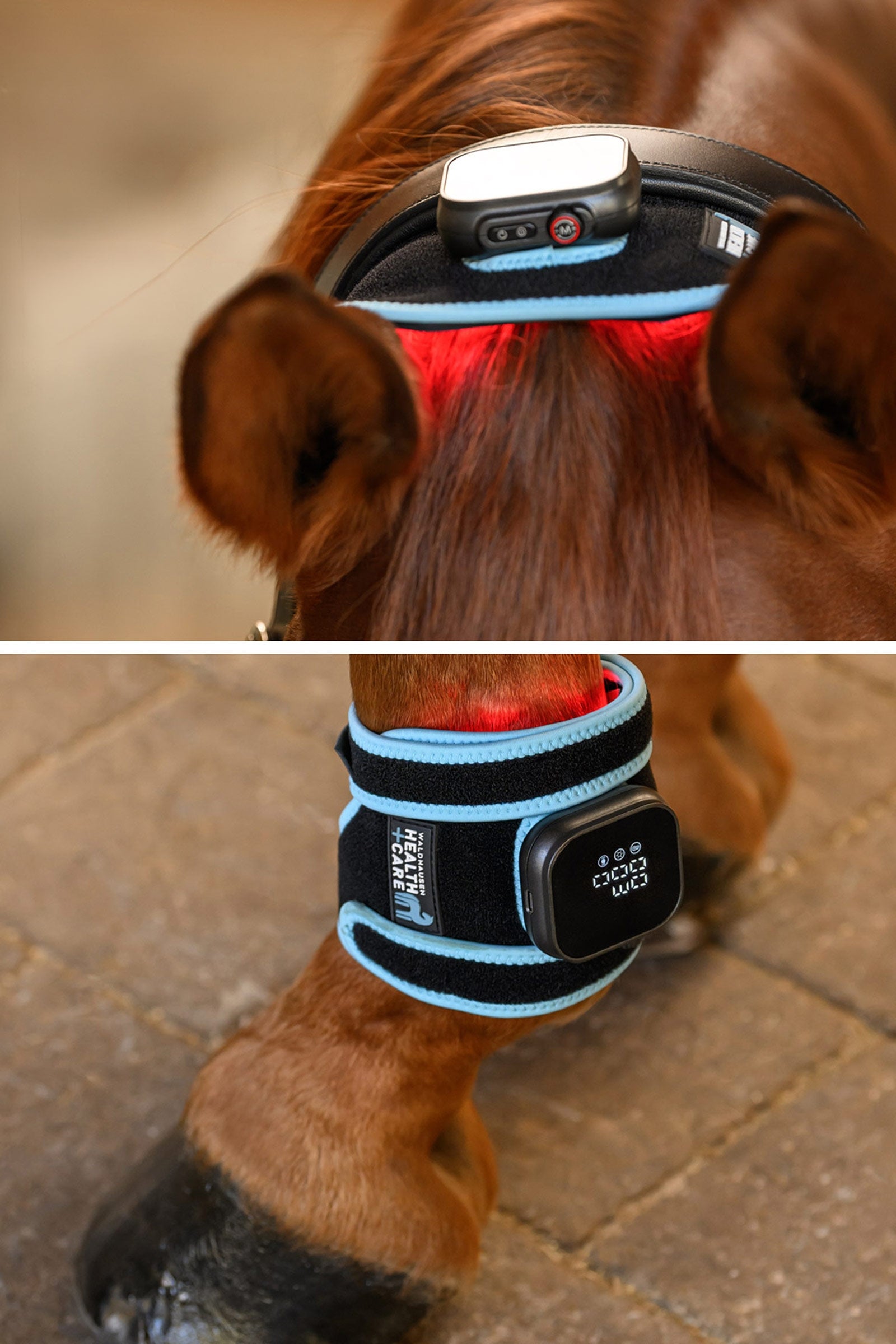 Waldhausen Health + Care infrarød FlexPad Leg Protection & Hoof Protection for Horses
