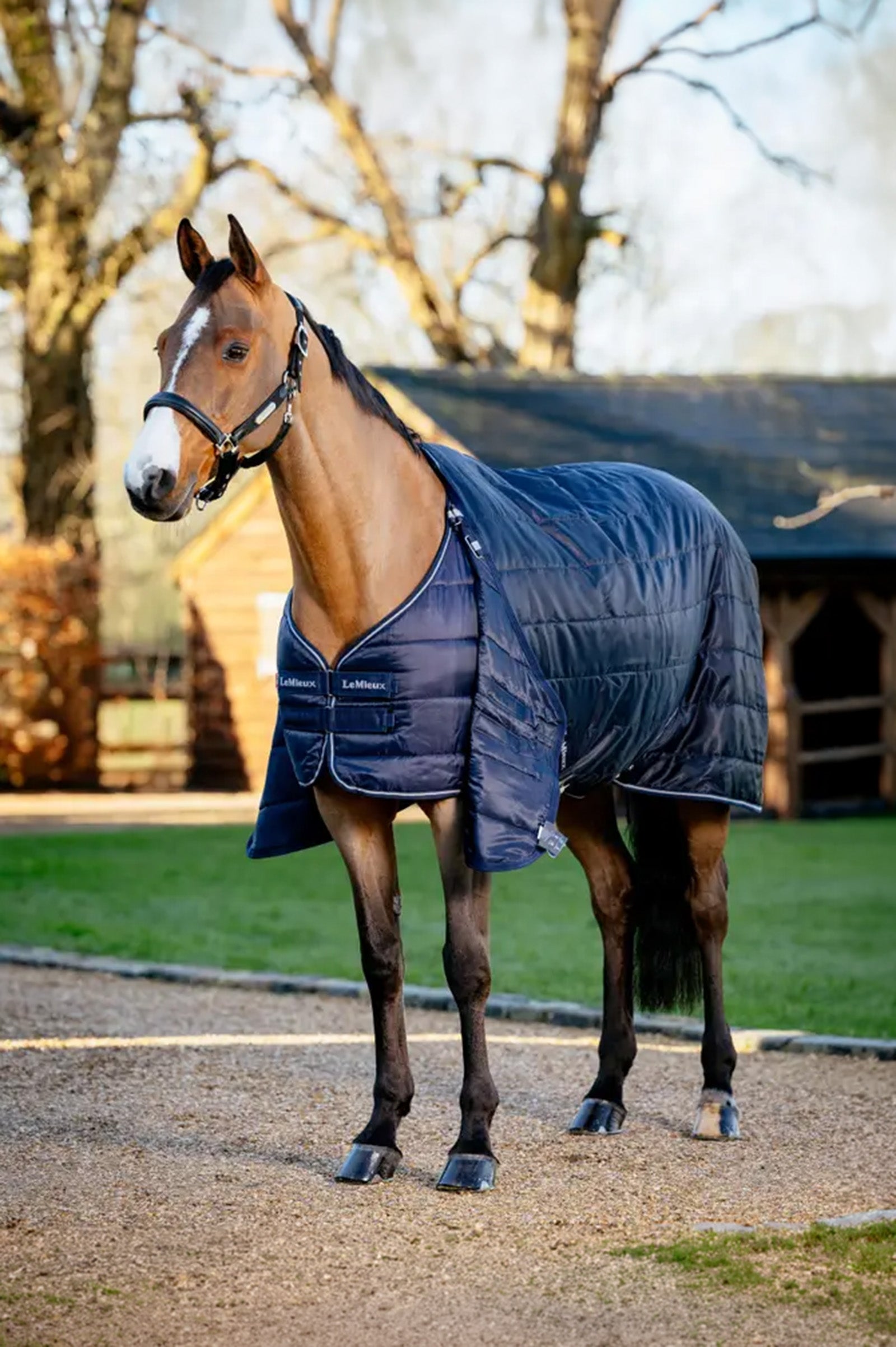 LeMieux Rug Liner, 50 g Horse Rugs