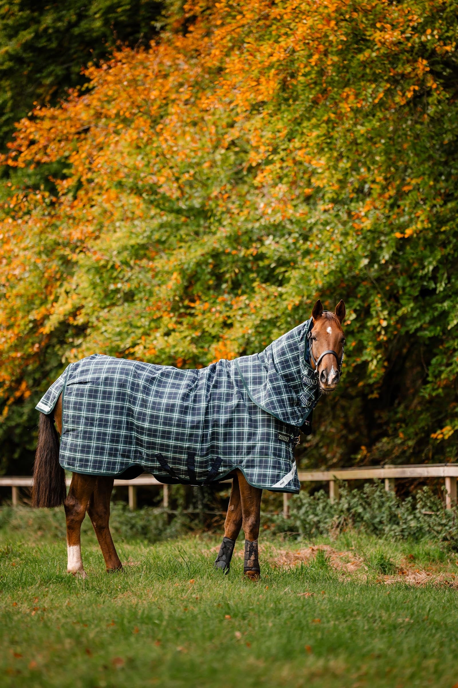 Horseware Rhino Plus Vari-Layer Turnout Rug With Detachable Neck, 250g Horse Rugs