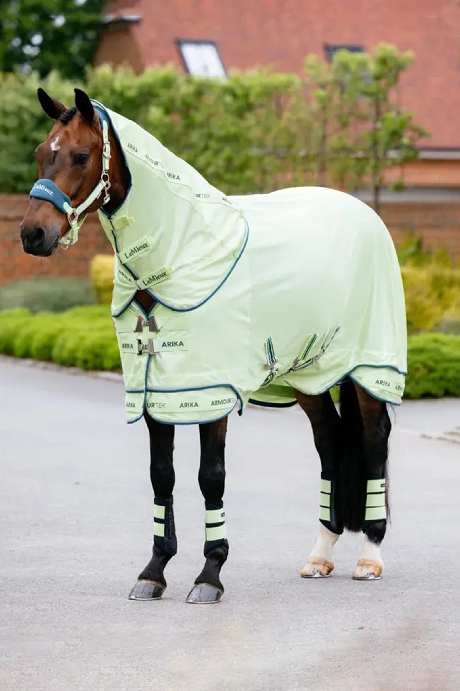 LeMieux Arika Armour-Tek Fly Rug w. Detachable Neck Horse Rugs