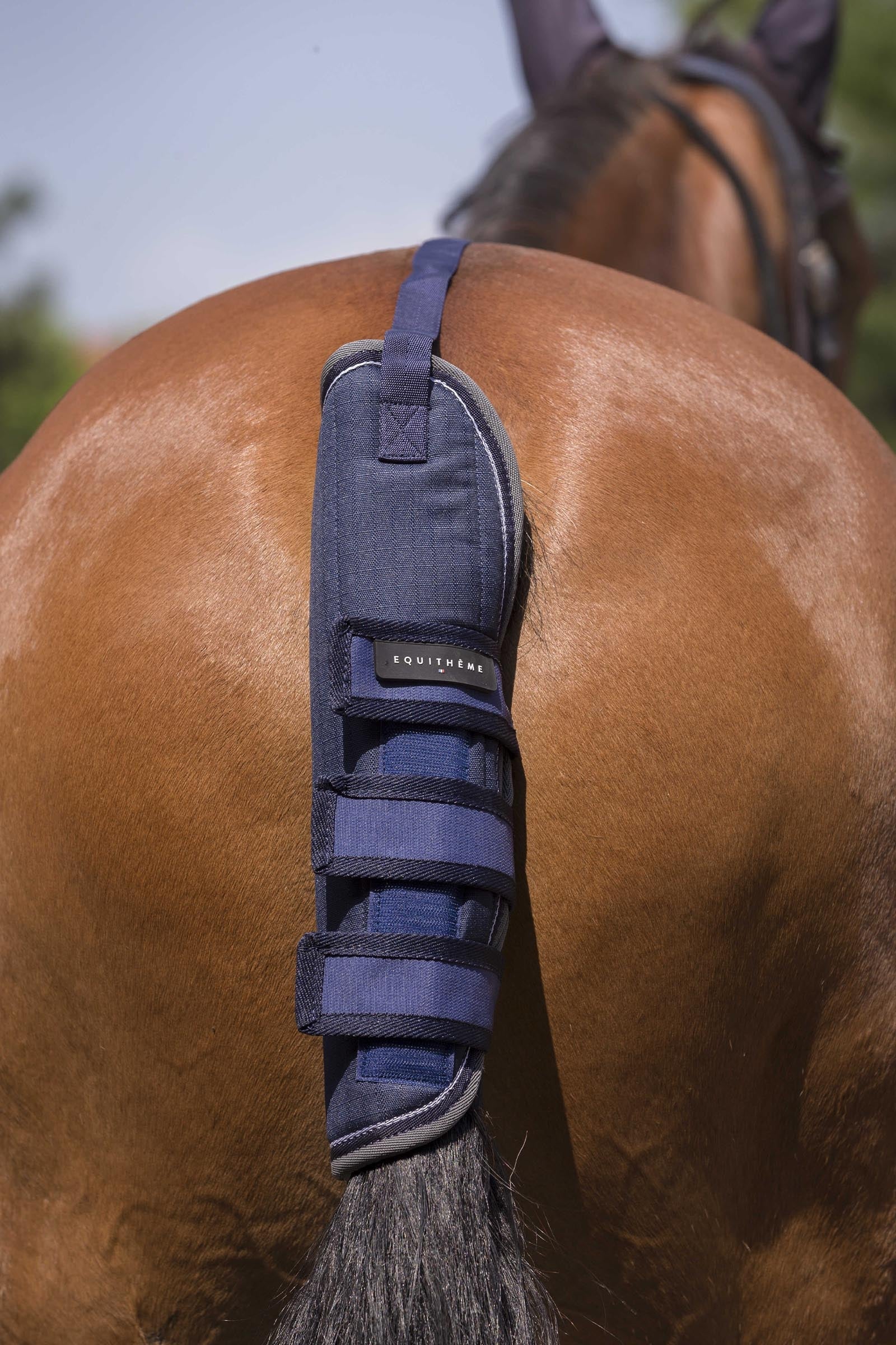 Equi Theme EQUITHÈME TYREX 600D halebeskytter Leg & Hoof Protection