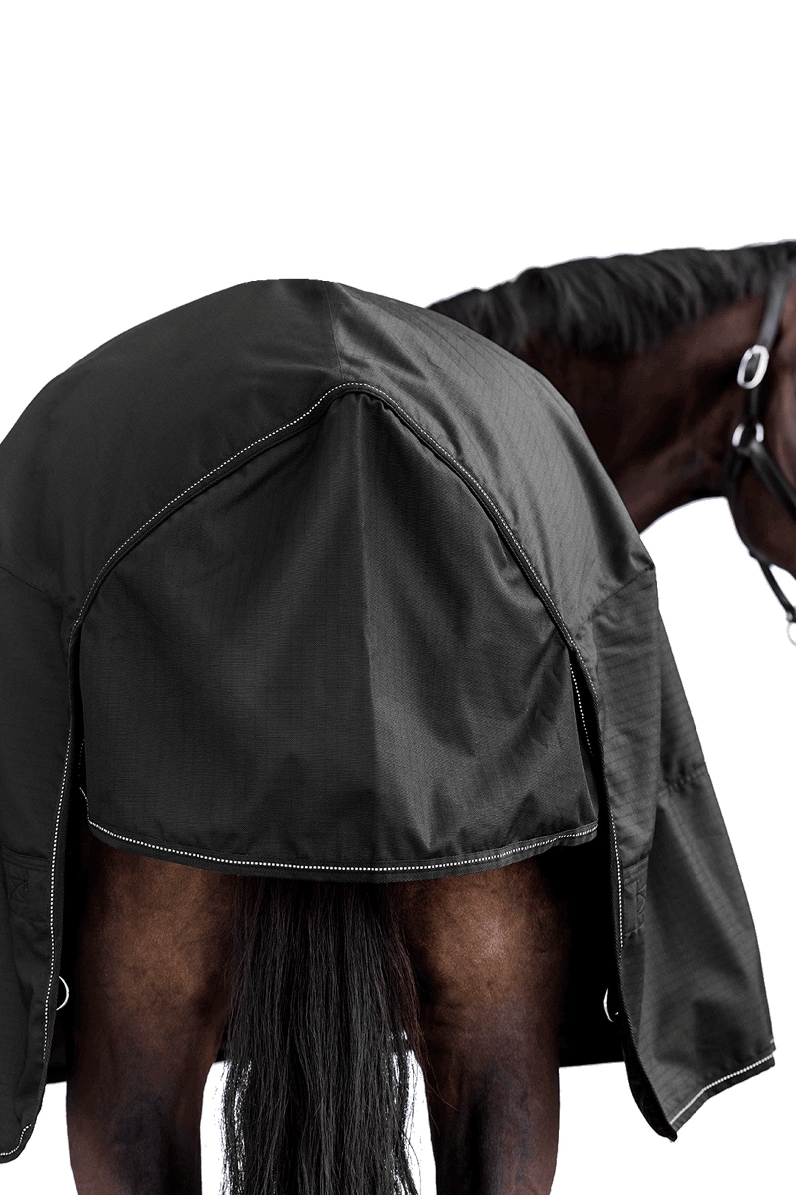 Waldhausen NORDIC Light High Neck Outdoor Rug Horse Rugs