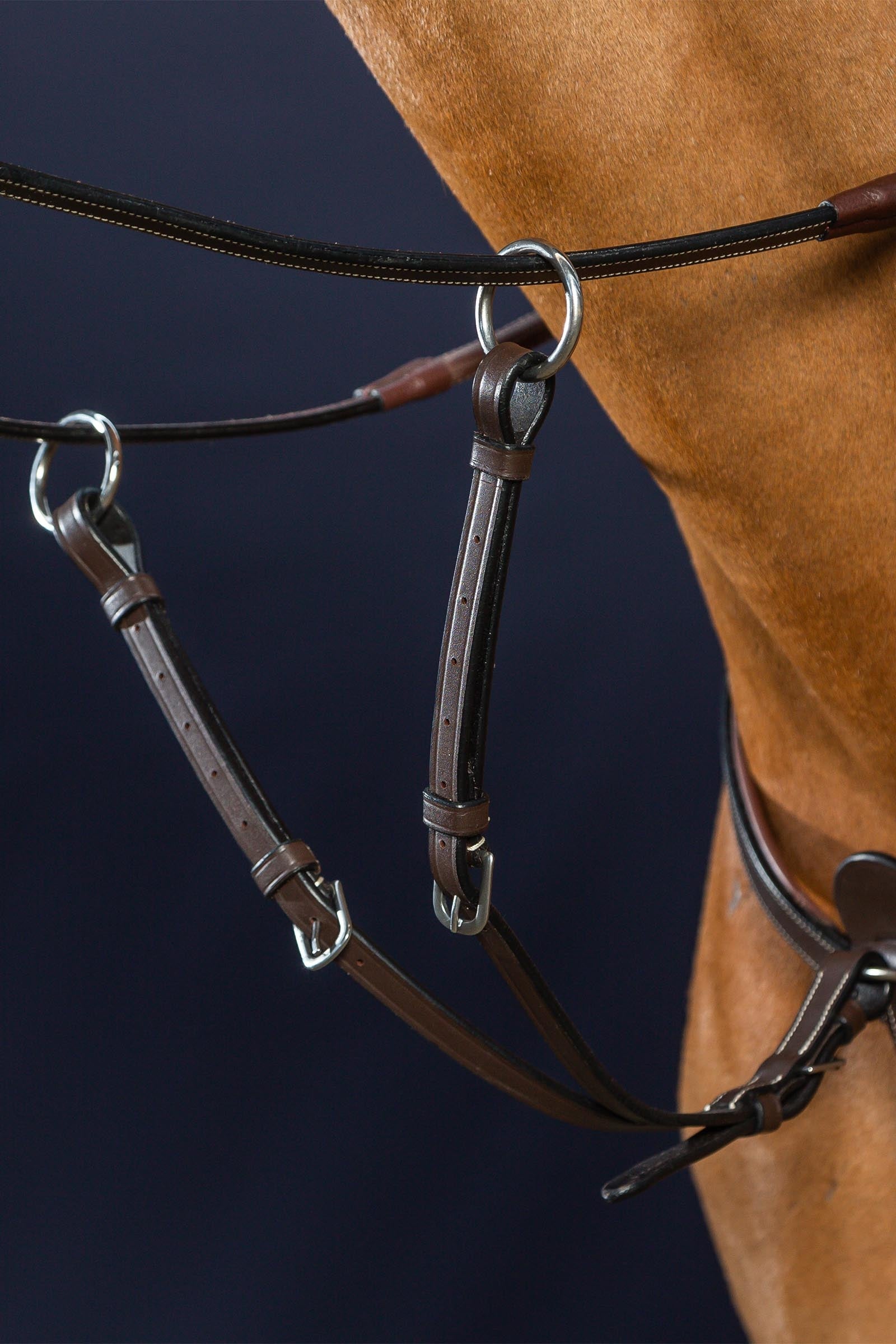 Dy'on Working Running Martingale Attachment  Bridles & Reins