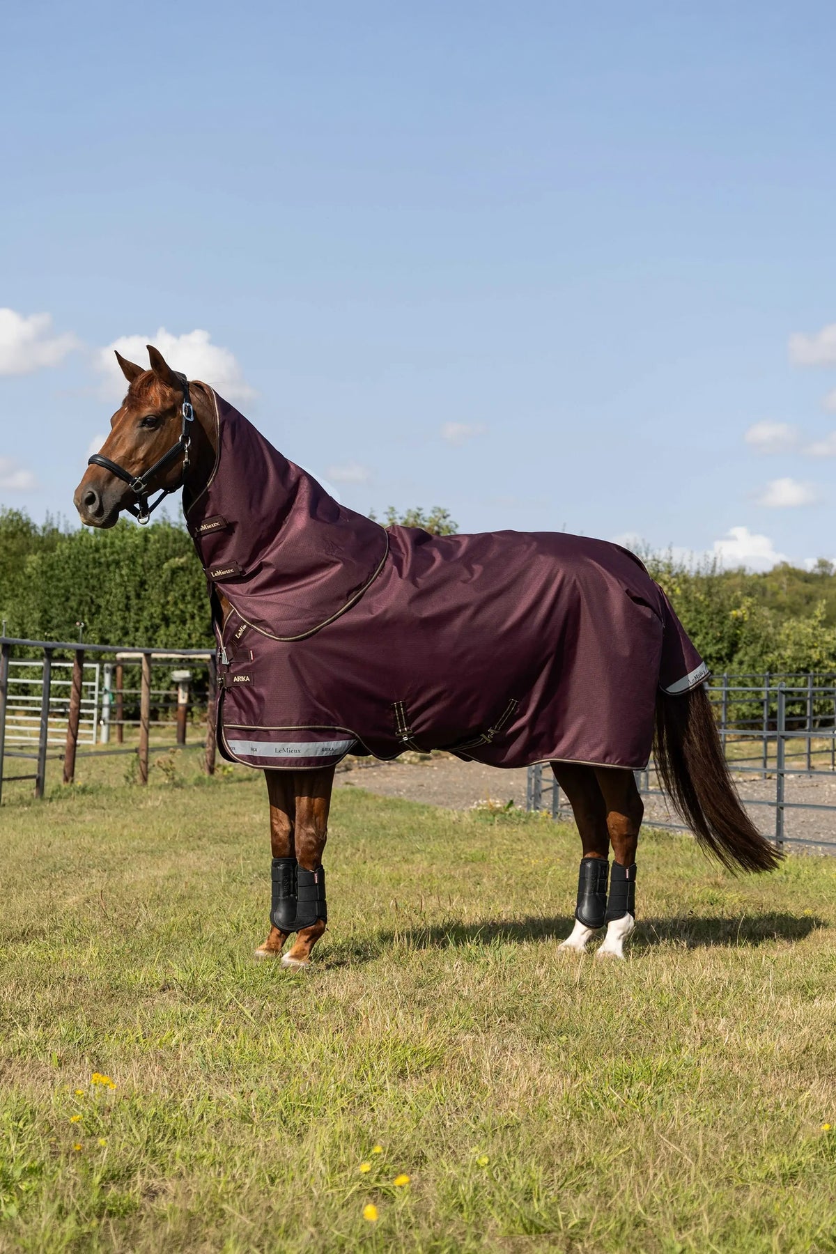 LeMieux Arika Ripstop Turnout Rug With Detachable Neck, 200 g Horse Rugs