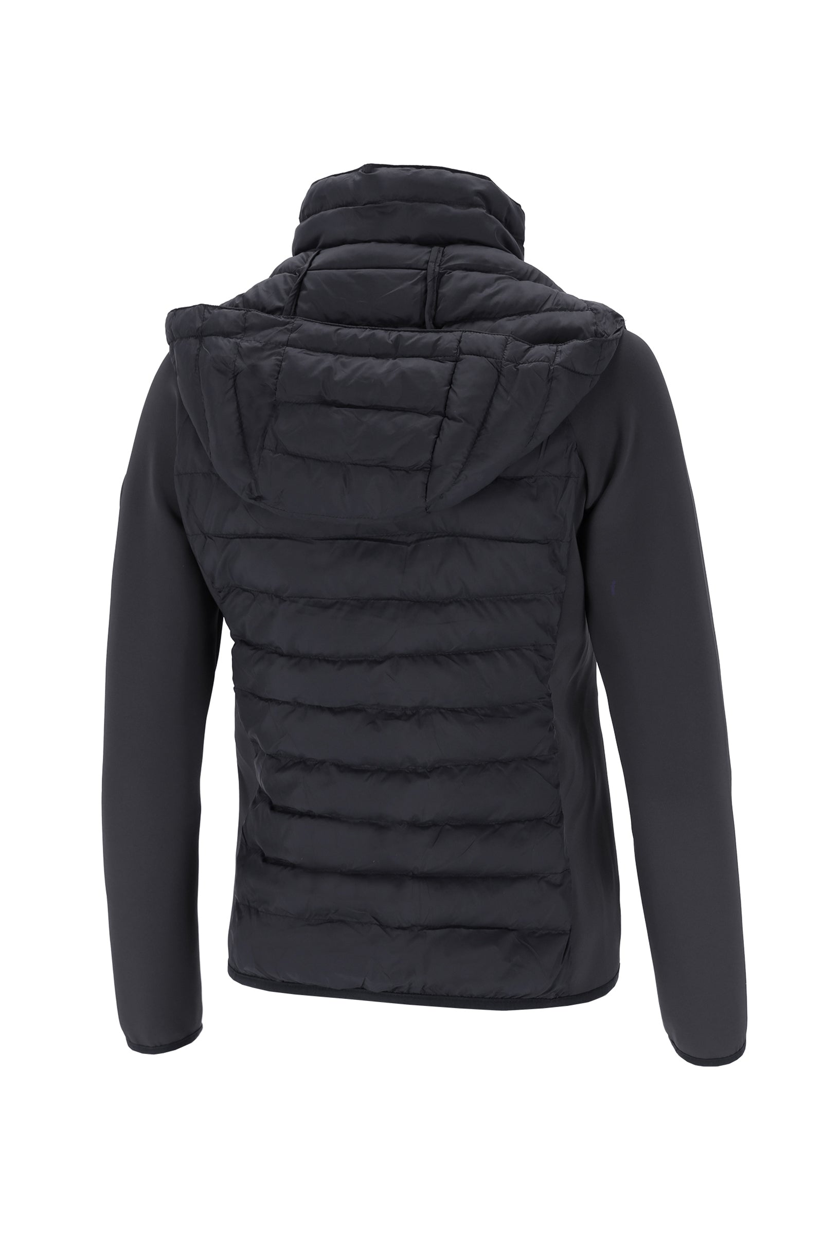 Schockemöhle Sports SP Darling Women's Lightweight Hybrid Jacket Women’s Riding Clothing