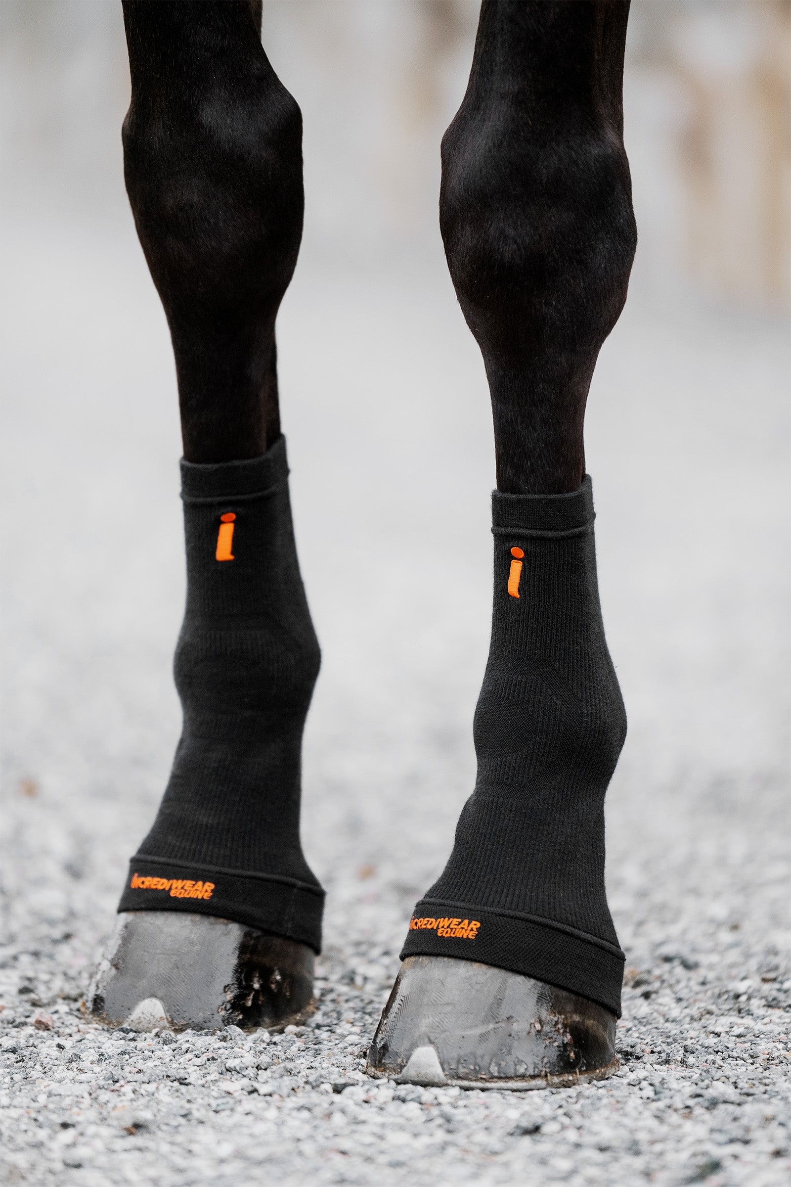 Incrediwear Circulation hovsokker Leg Protection & Hoof Protection for Horses