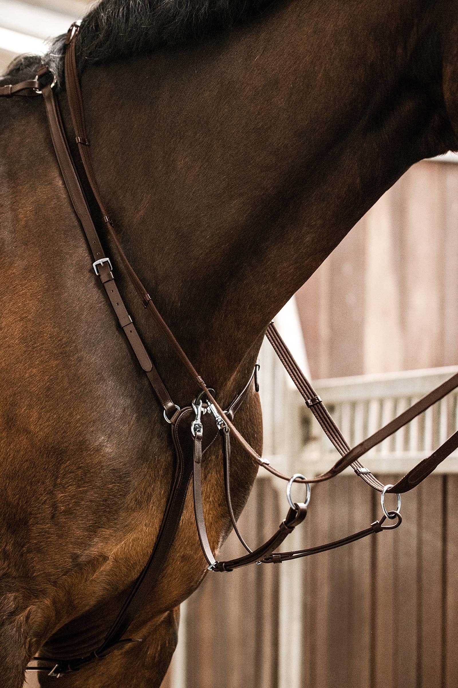Waldhausen X-Line Professional Breastplate Bridles & Reins