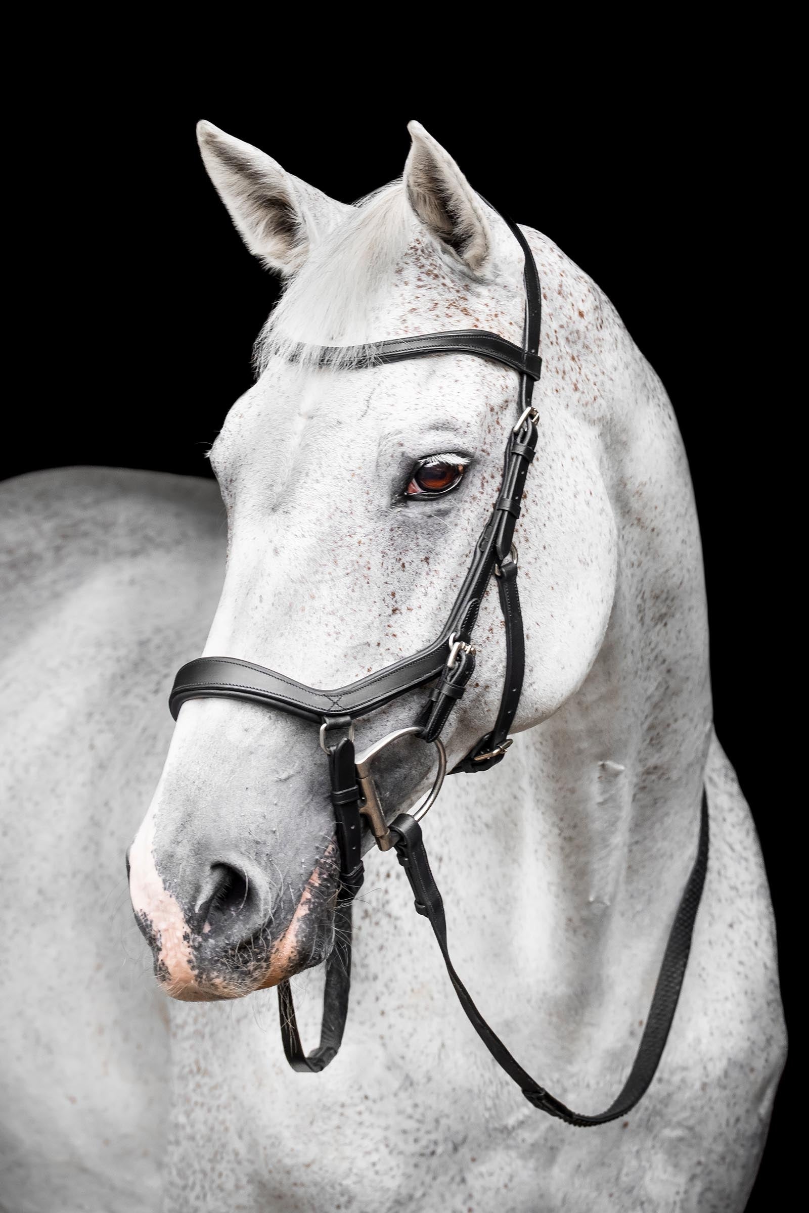 Horseware Rambo Micklem Competition Bridle Bridles & Reins