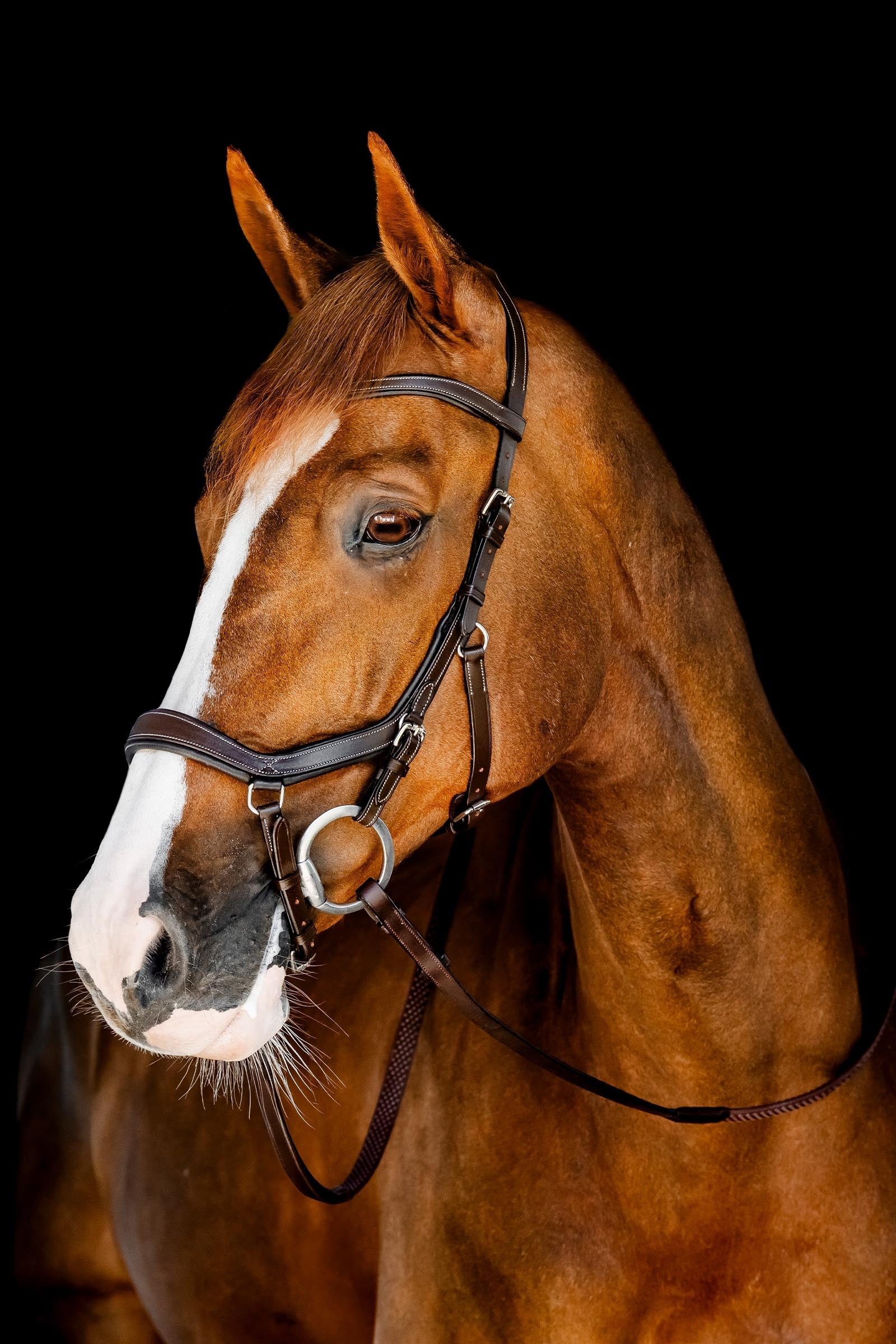 Horseware Rambo Micklem stevnehodelag Hodelag & Tøyler