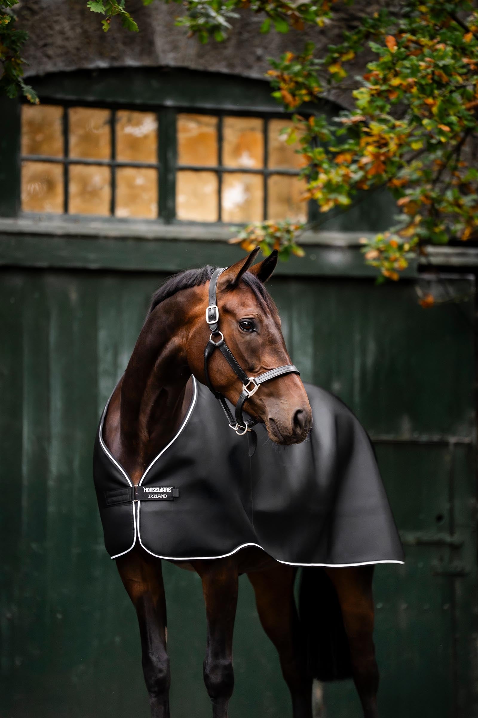 Horseware Rambo Airmax Liner, 0 g Horse Rugs