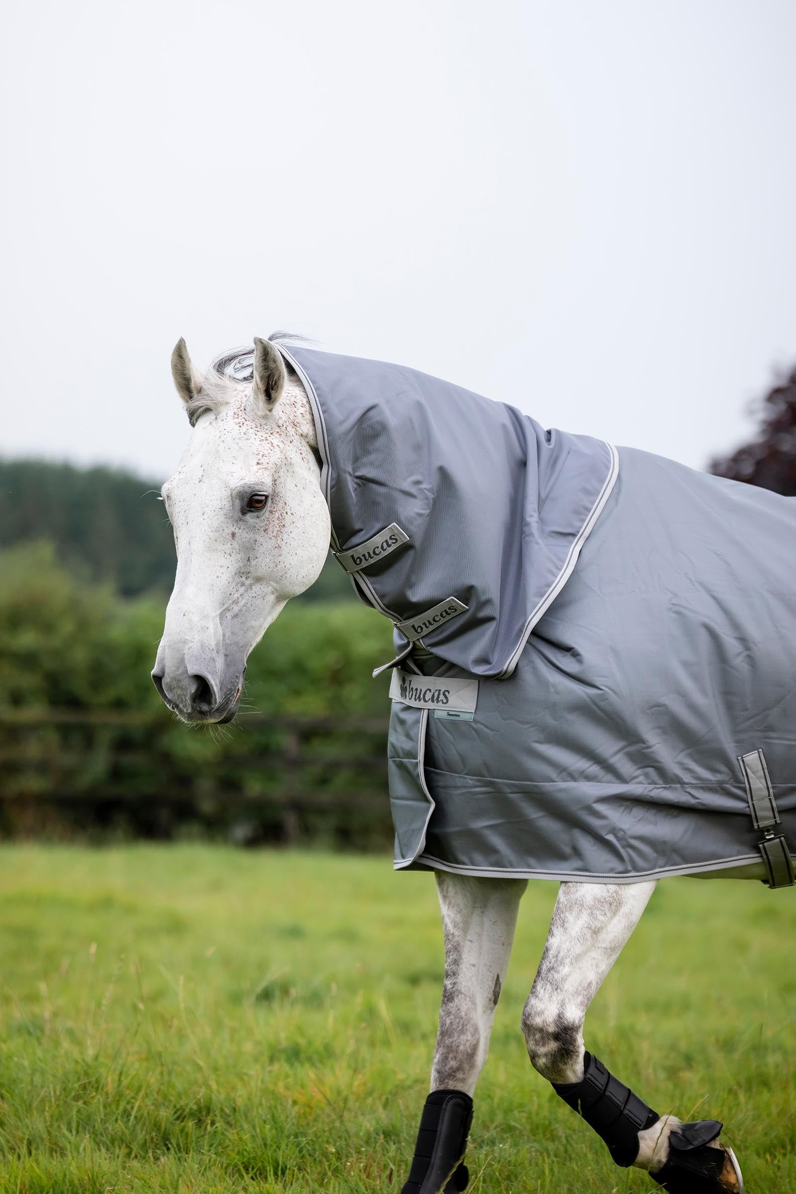 Bucas Smartex Combi Neck 300 Horse Rugs