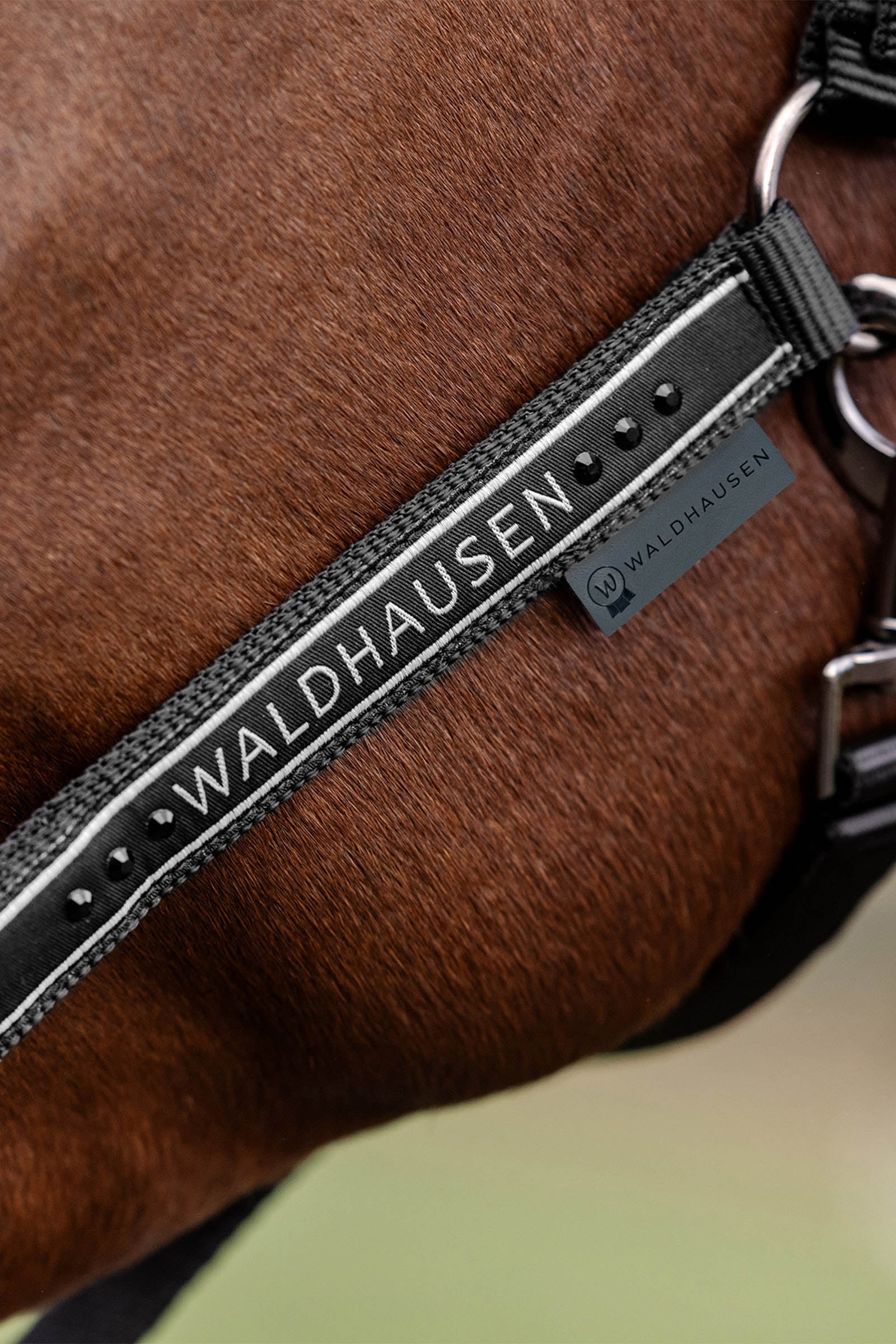 Waldhausen Elegant Halter Halters & Leads