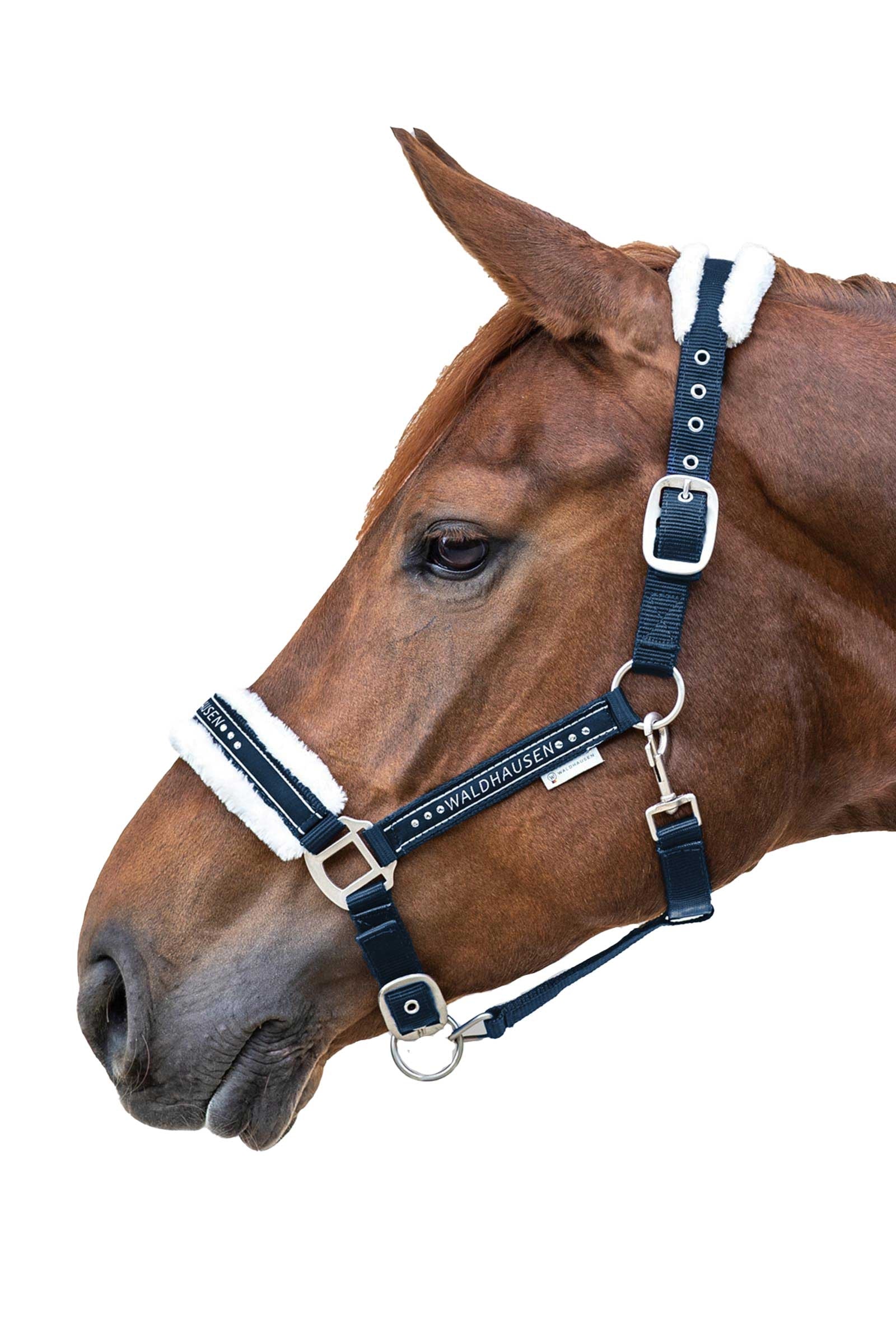 Waldhausen Elegant Halter Halters & Leads