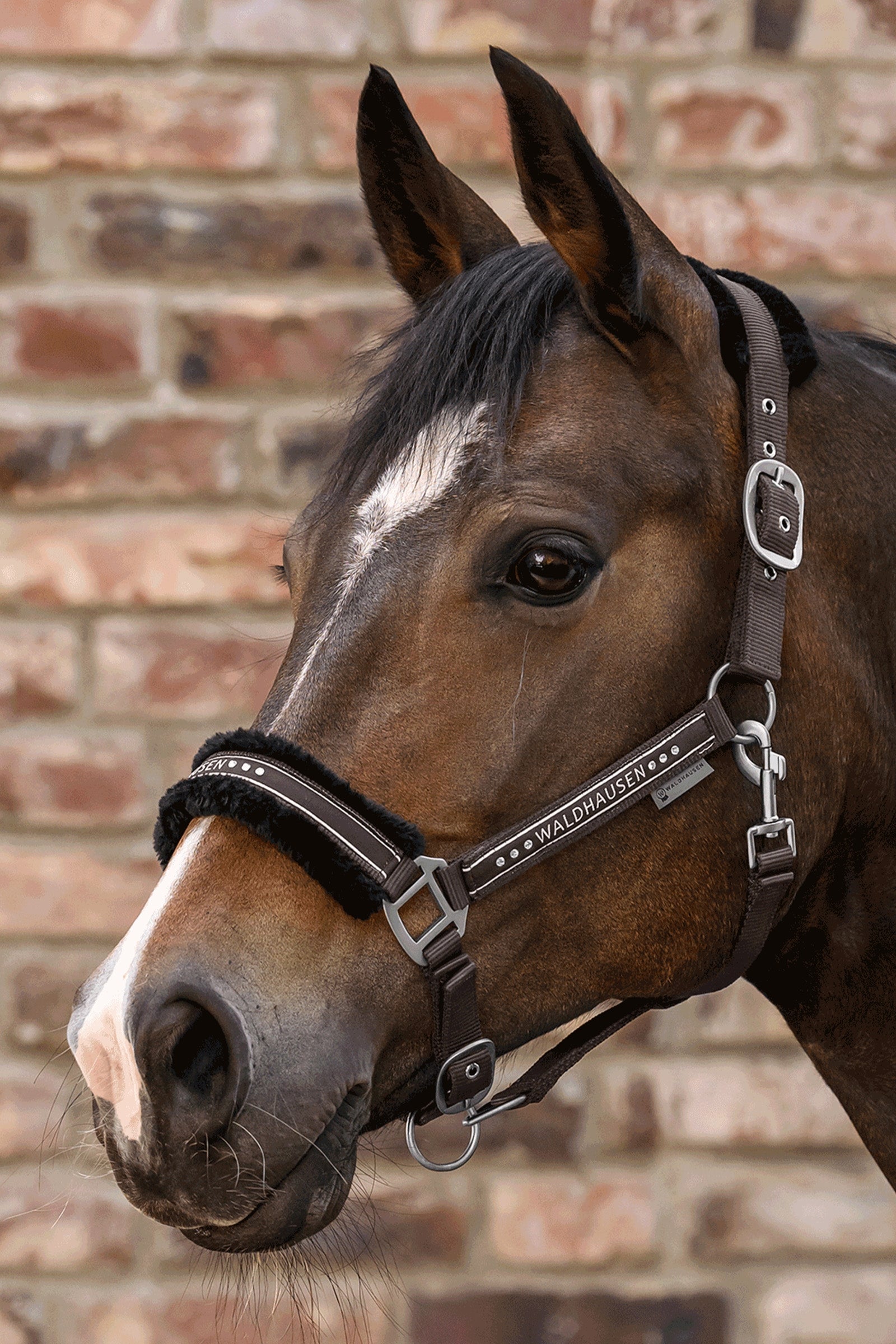 Lifestyle shot 1