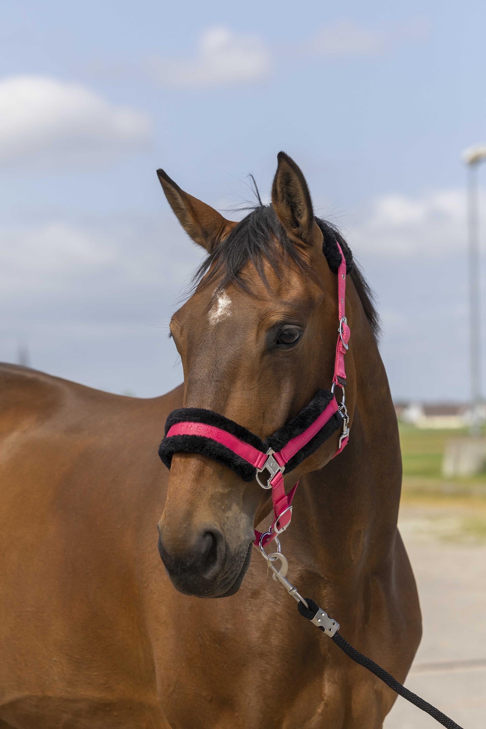 EQUITHÈME Nylon Mouton Halter Halters & Leads