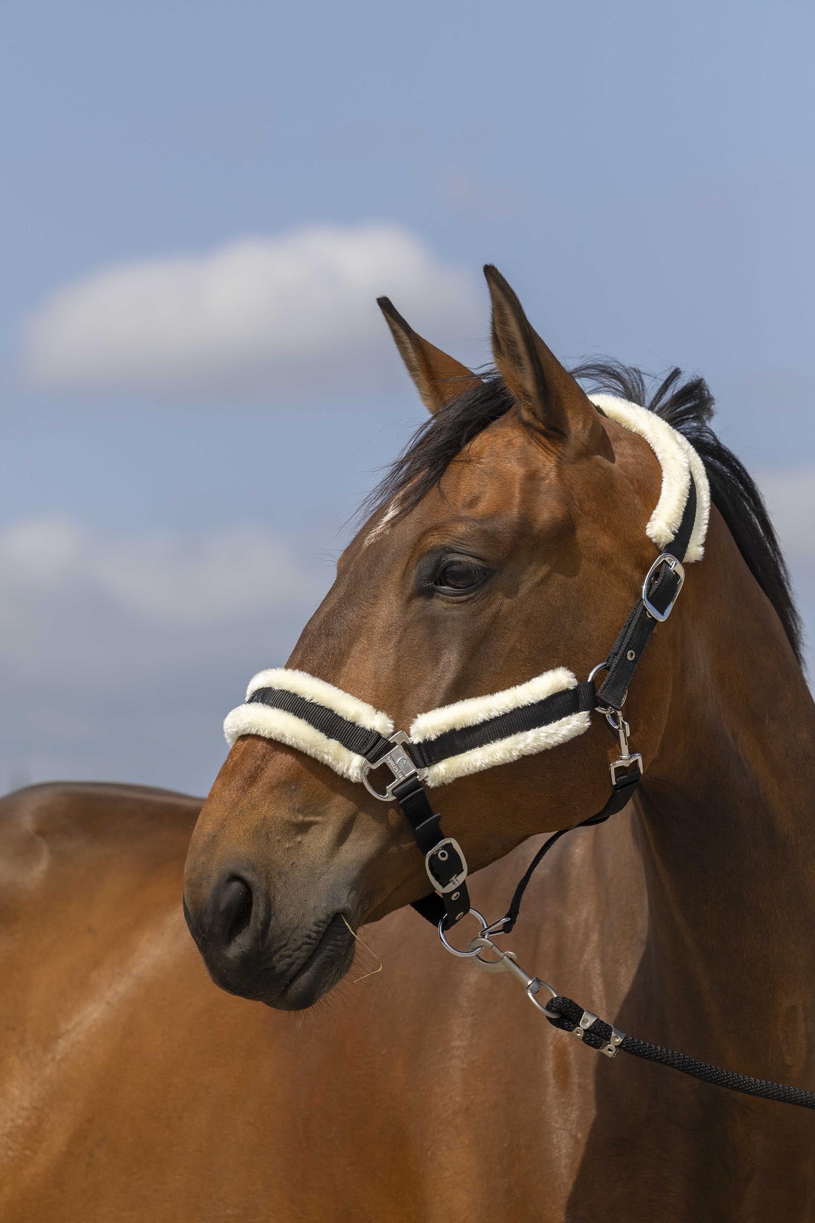 EQUITHÈME Nylon Mouton grime Grimer og leietau
