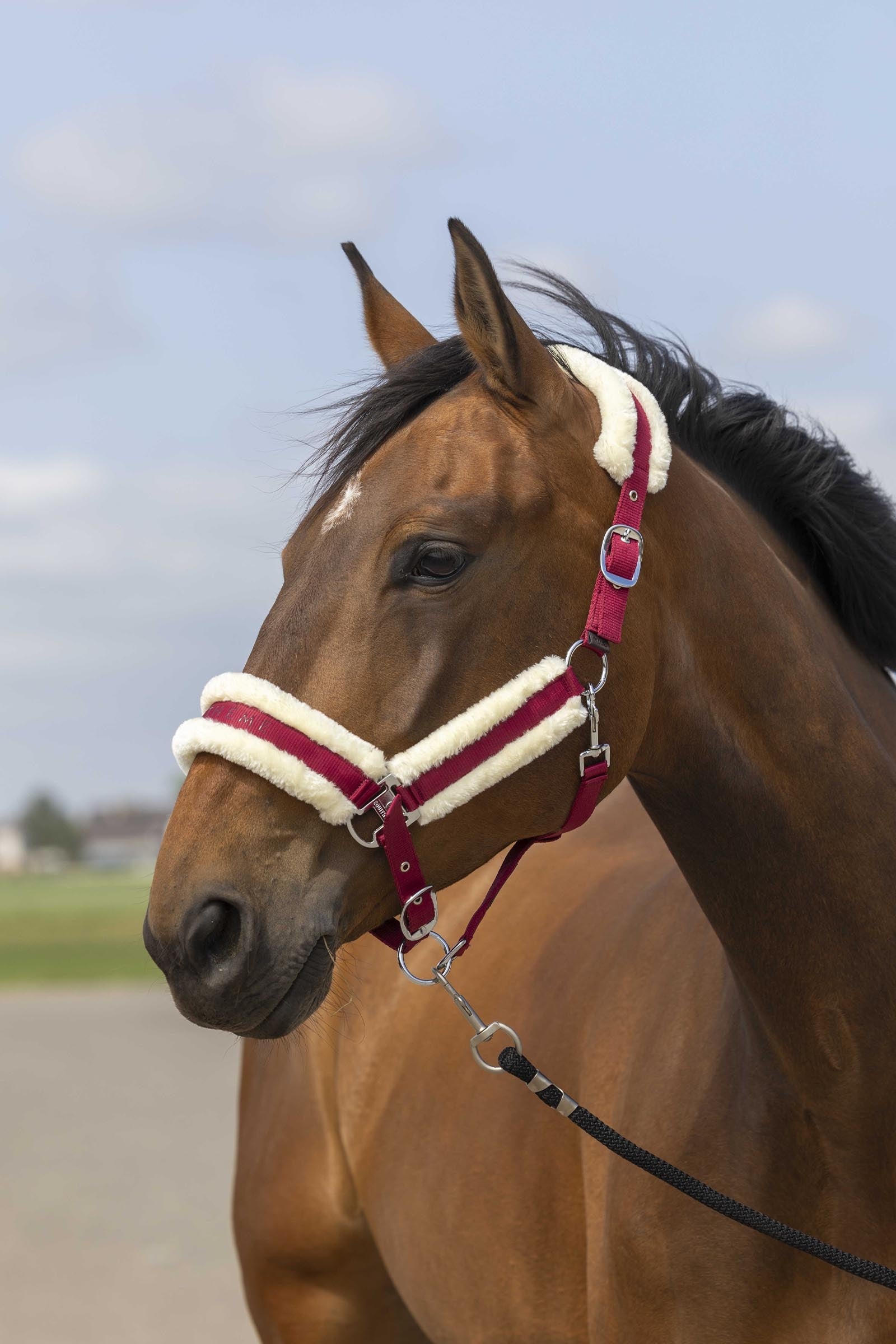 Equi Theme EQUITHÈME Nylon Mouton Halter Halters & Leads