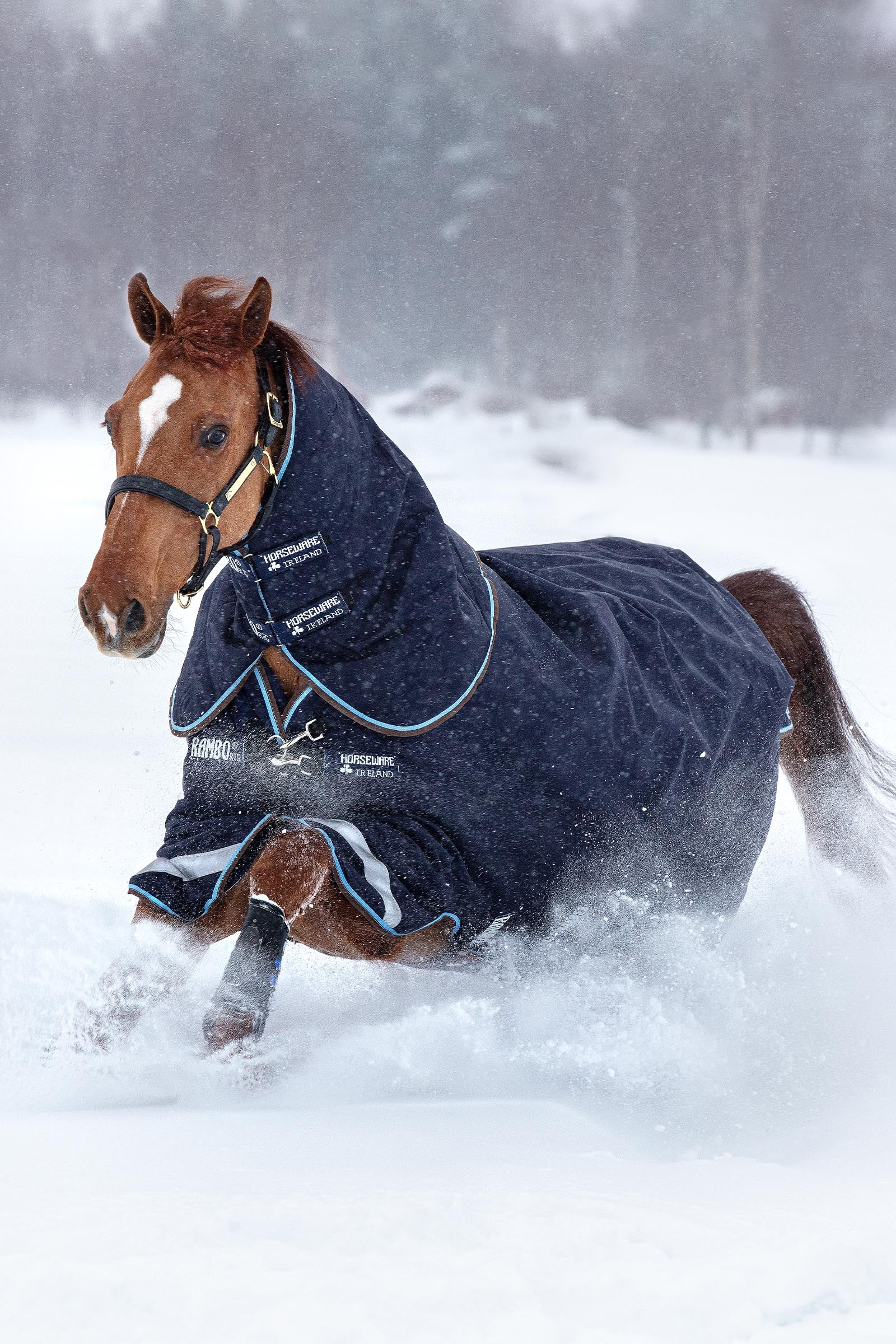 Horseware Rambo Duo Turnout incl. Detachable Hood, 100g Horse Rugs
